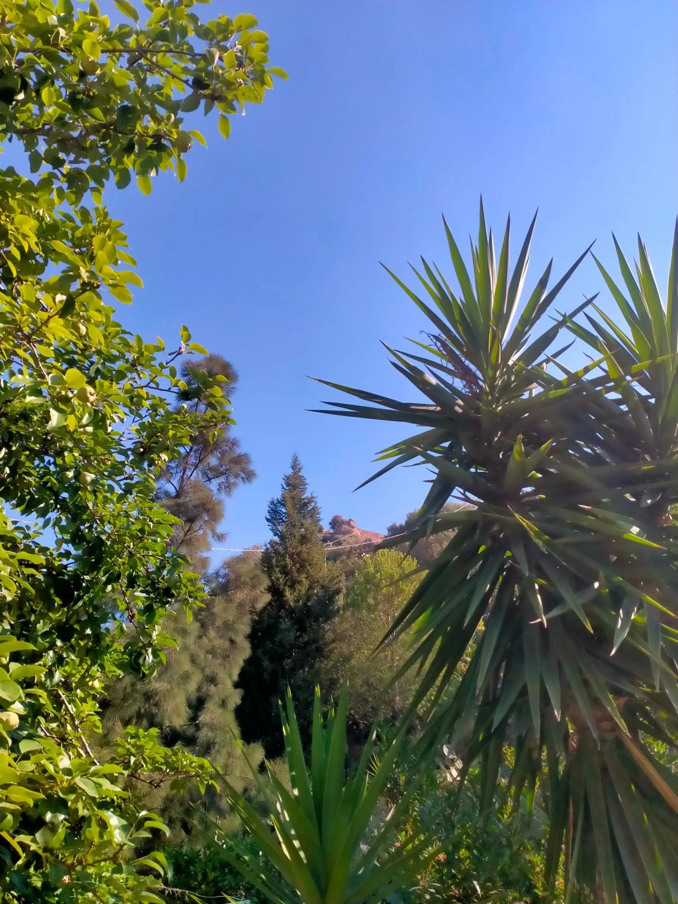 Natural landscape in Il Siriaco