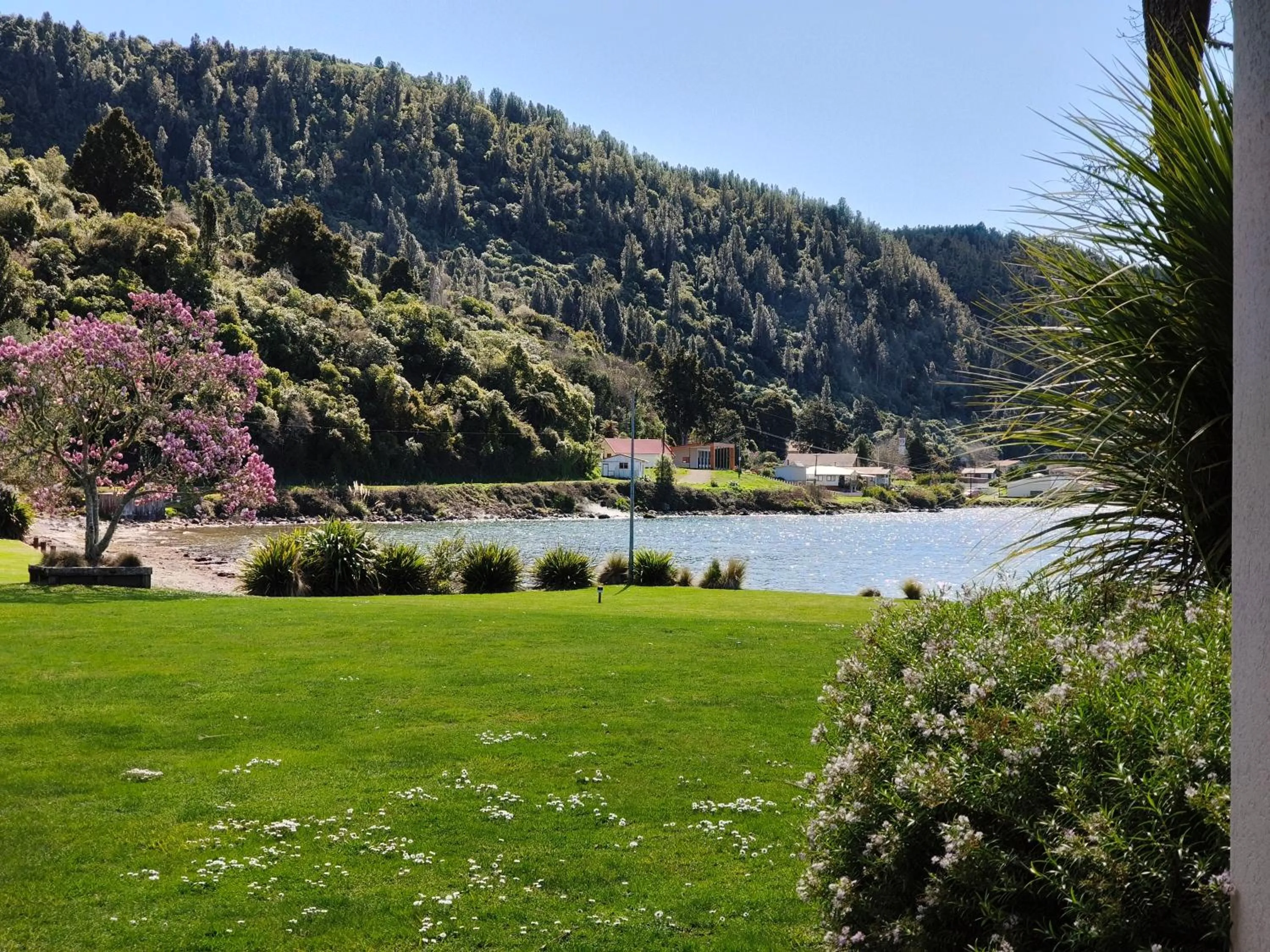 Spring in Braxmere Lodge