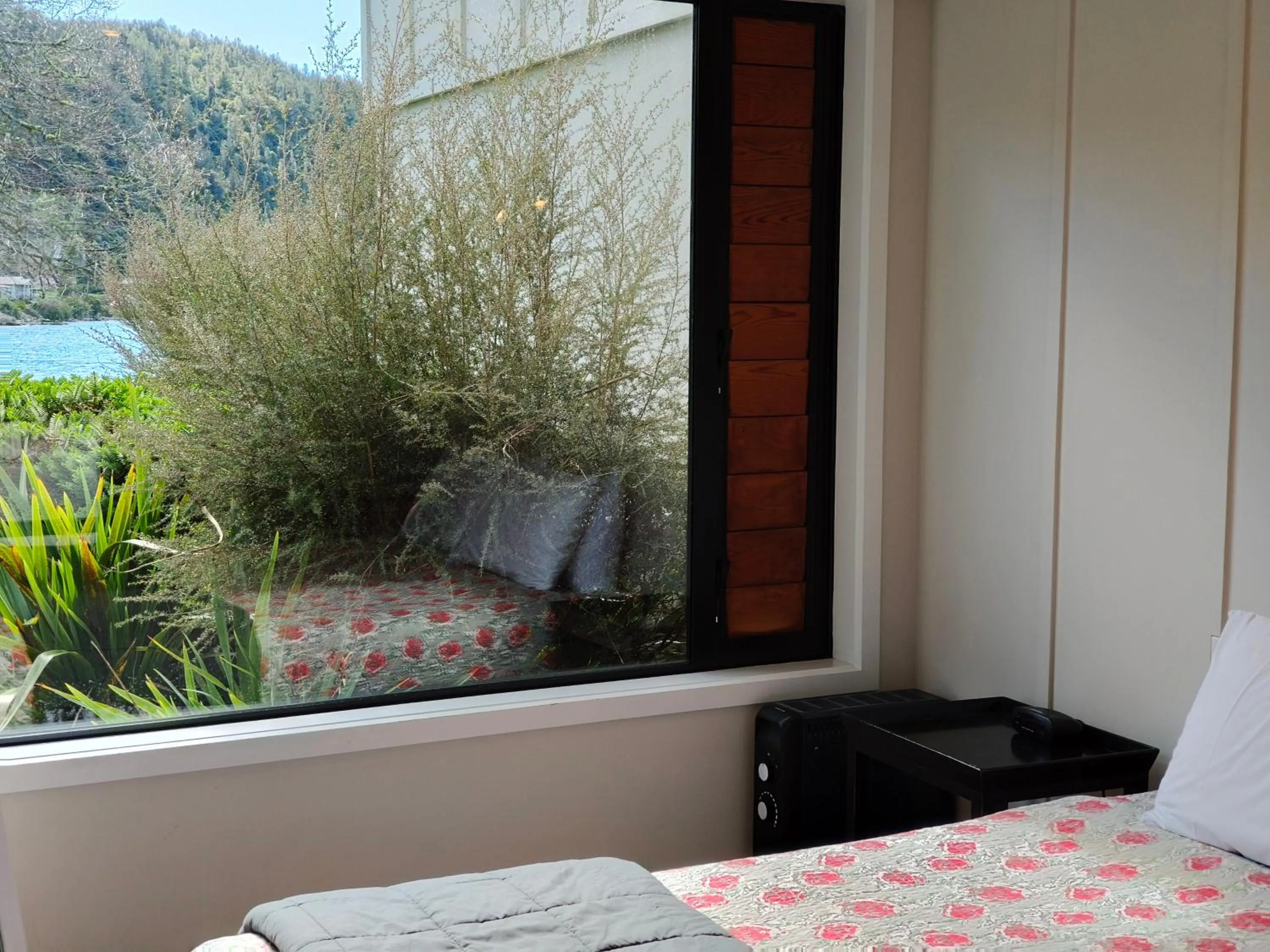 Spring in Braxmere Lodge