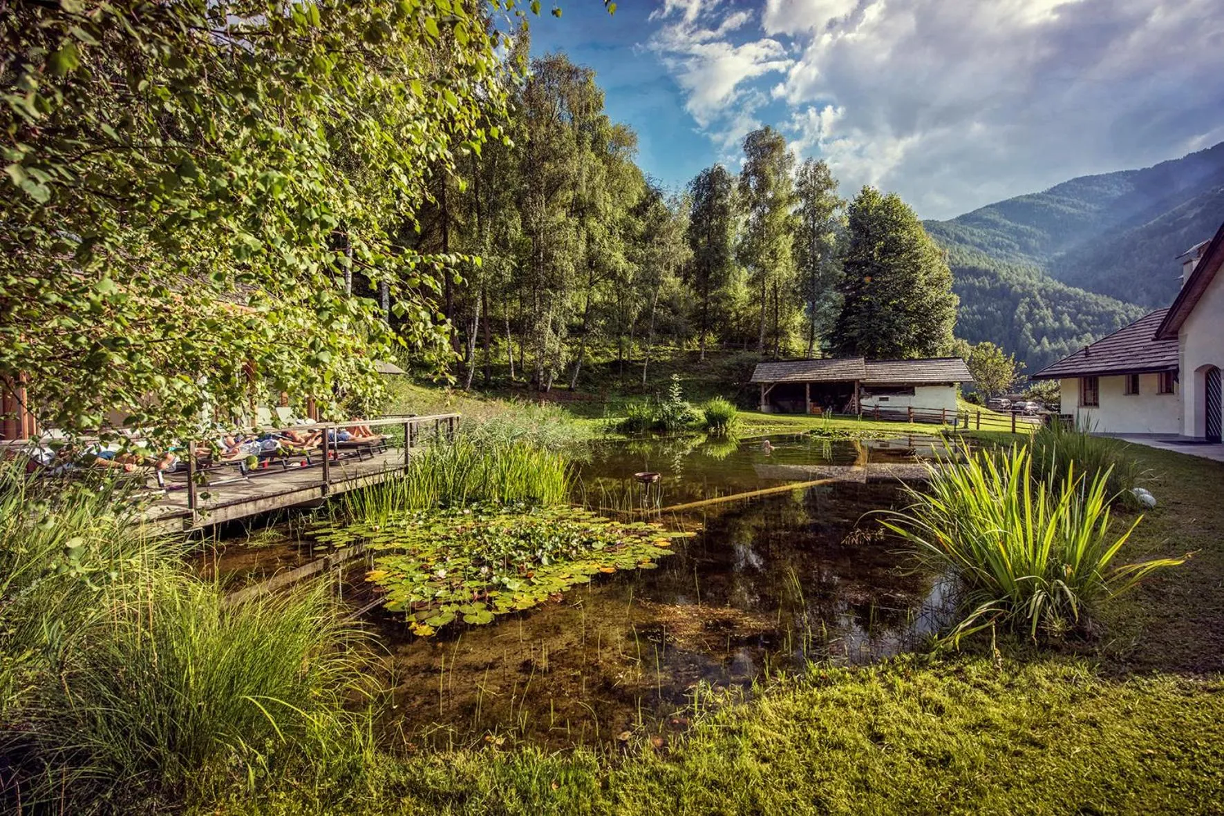Swimming pool in Naturhotel Saalerwirt