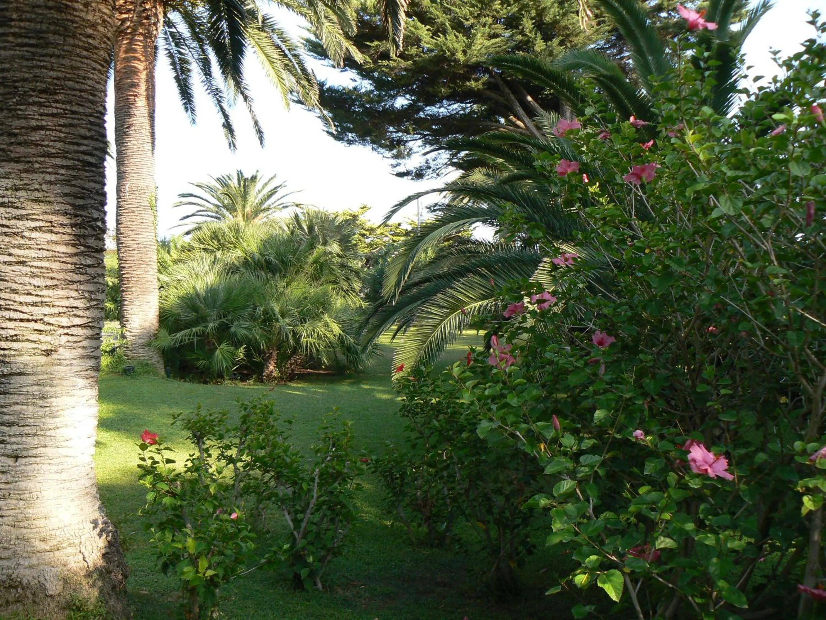 Garden in Circeo Park Hotel