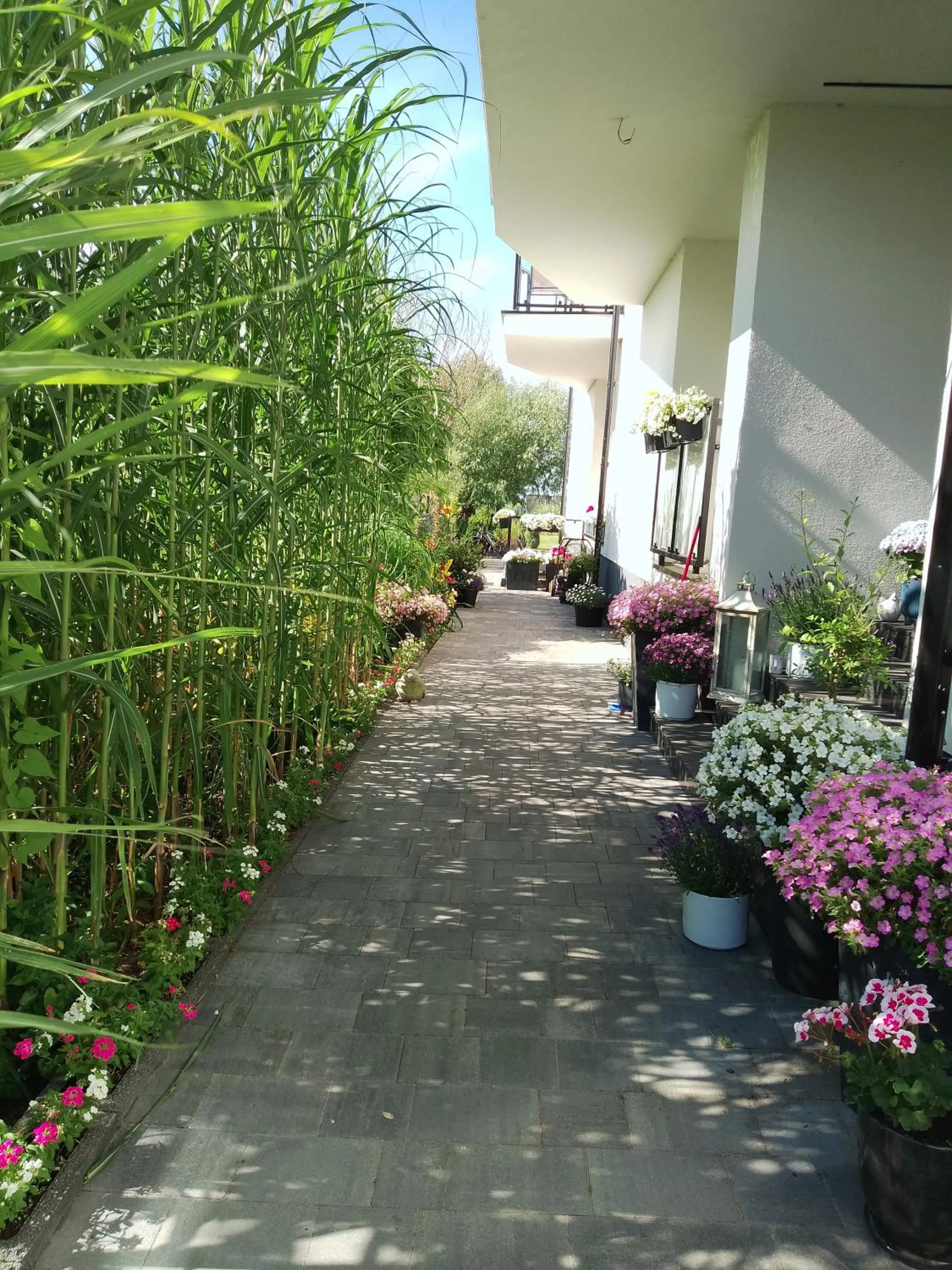 Apartamenty Mistral