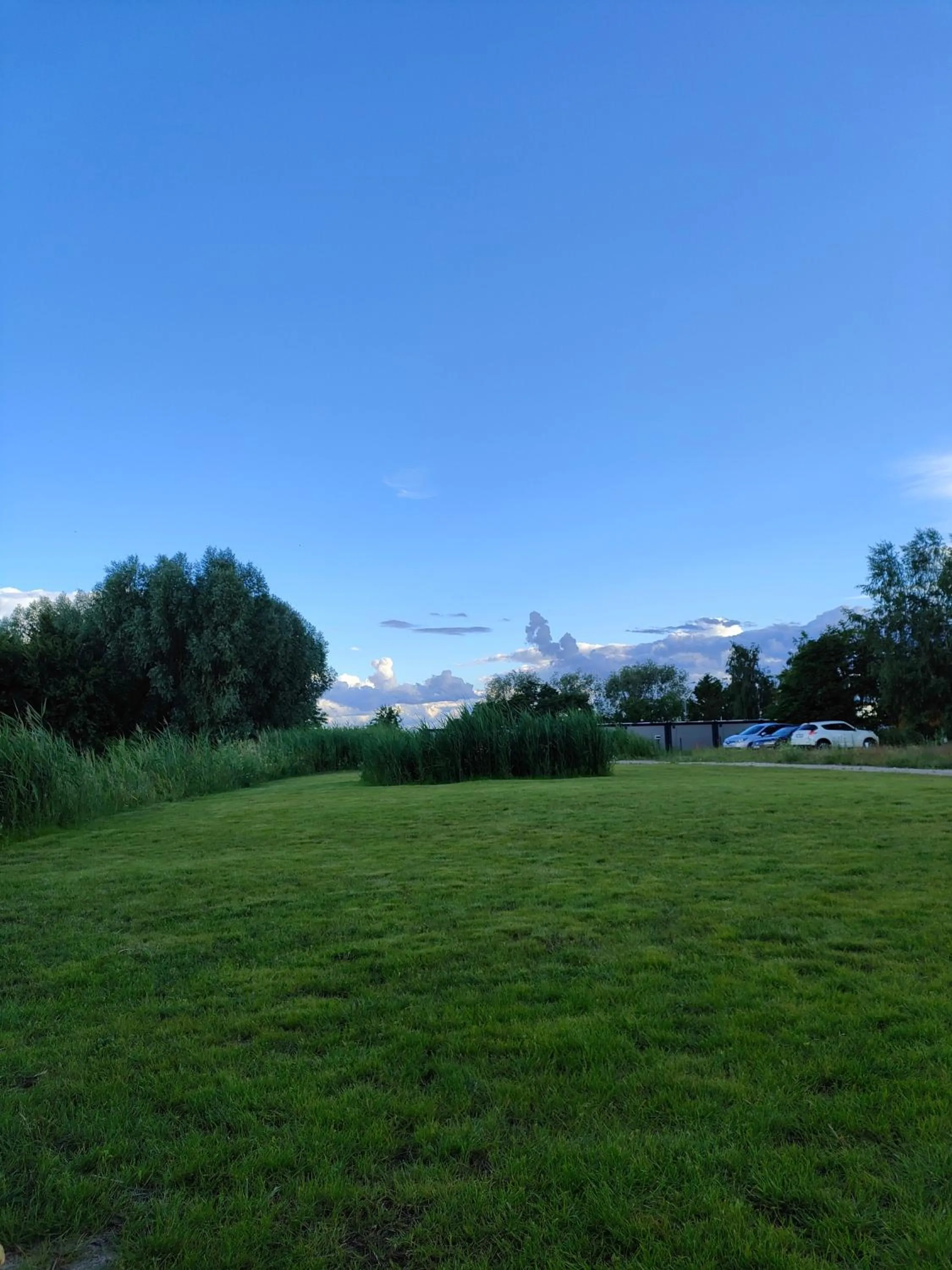 Garden in Apartamenty Mistral