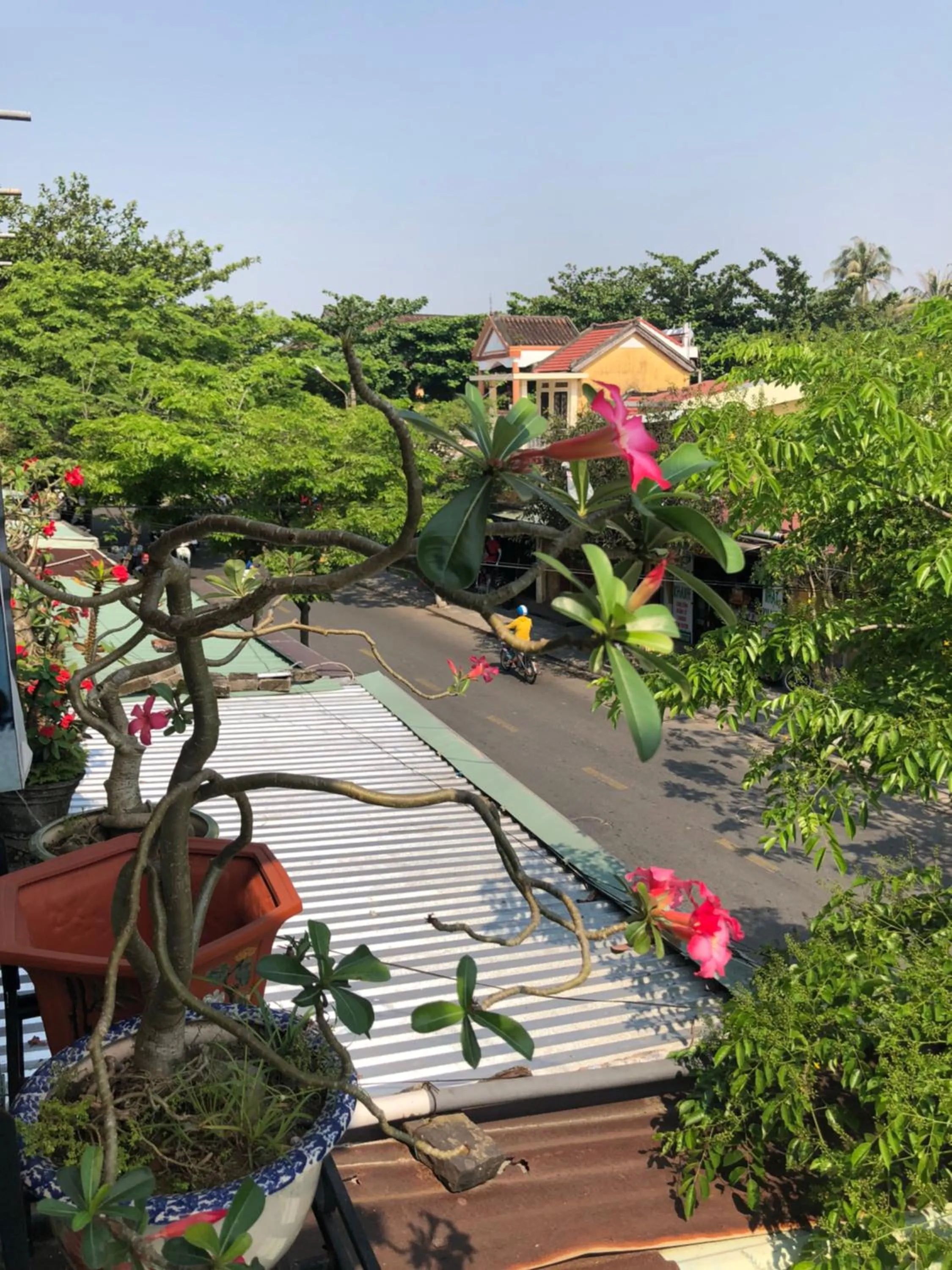 Day in Nha Lan Homestay