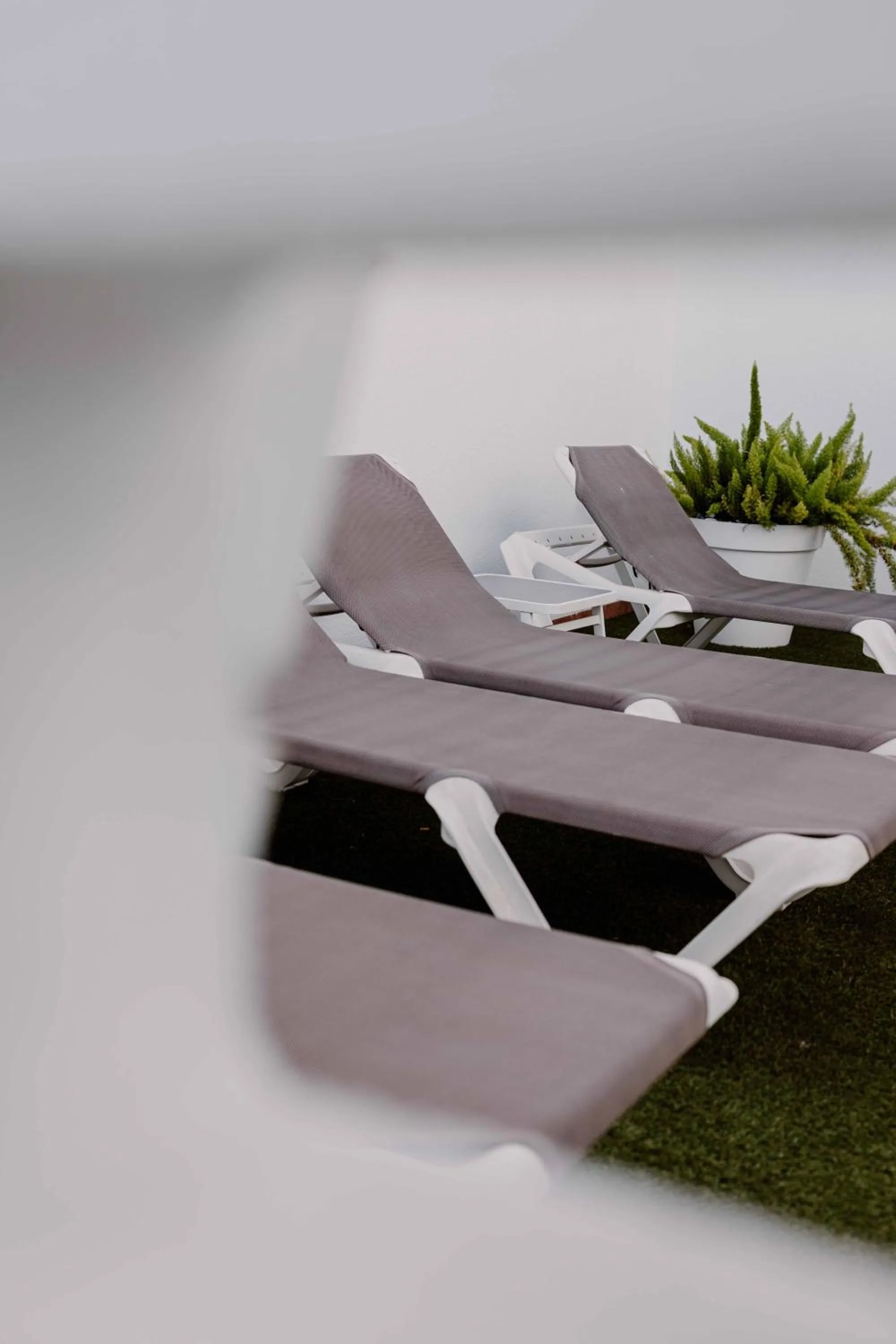 Patio in Apartamentos 525 Los Narejos