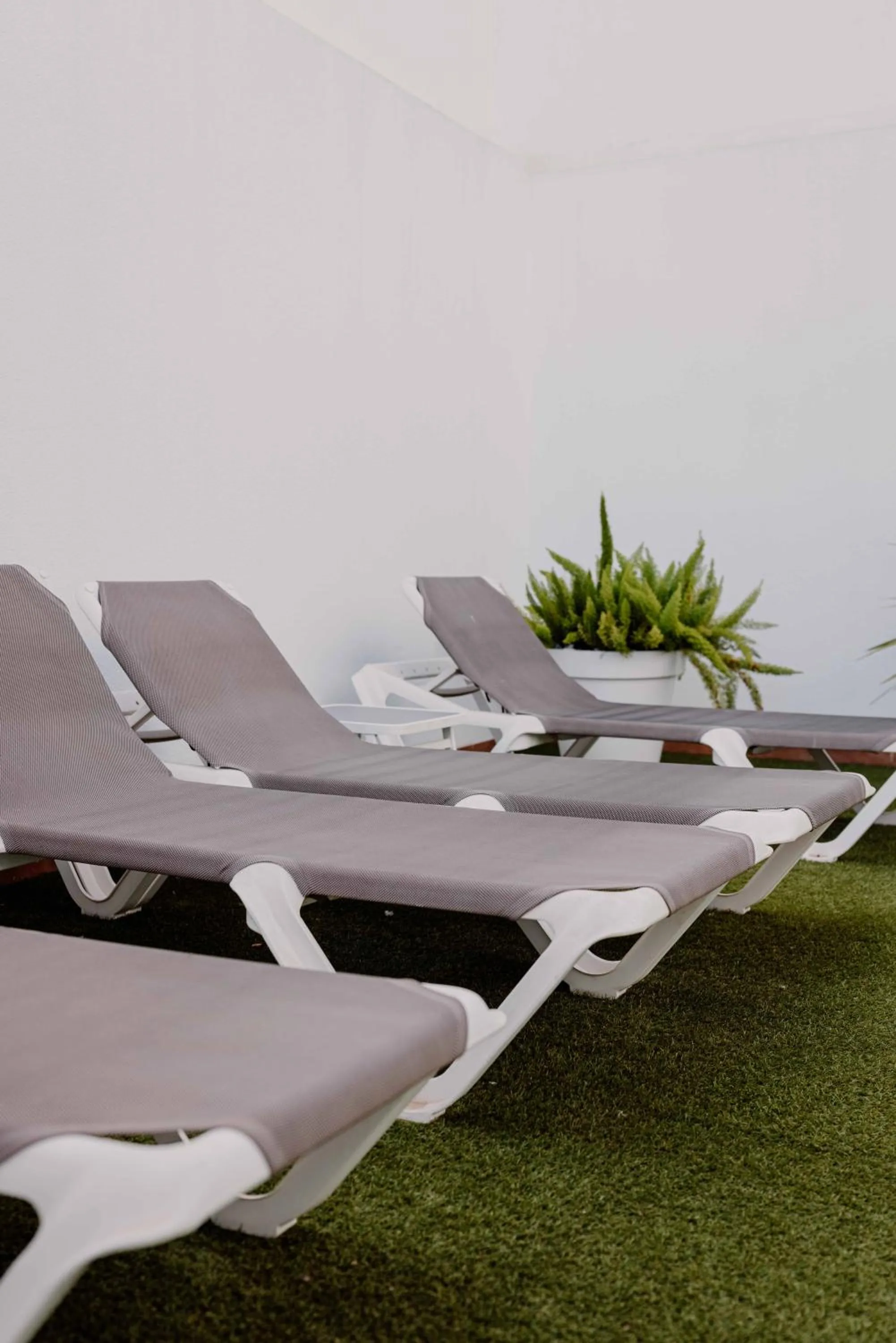 Patio in Apartamentos 525 Los Narejos