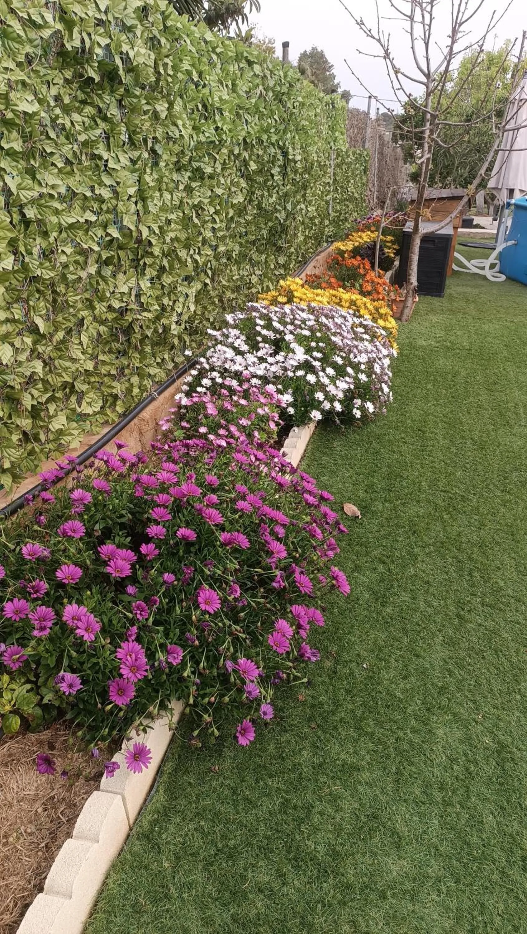 Garden in Escapada de ciudad al aire libre