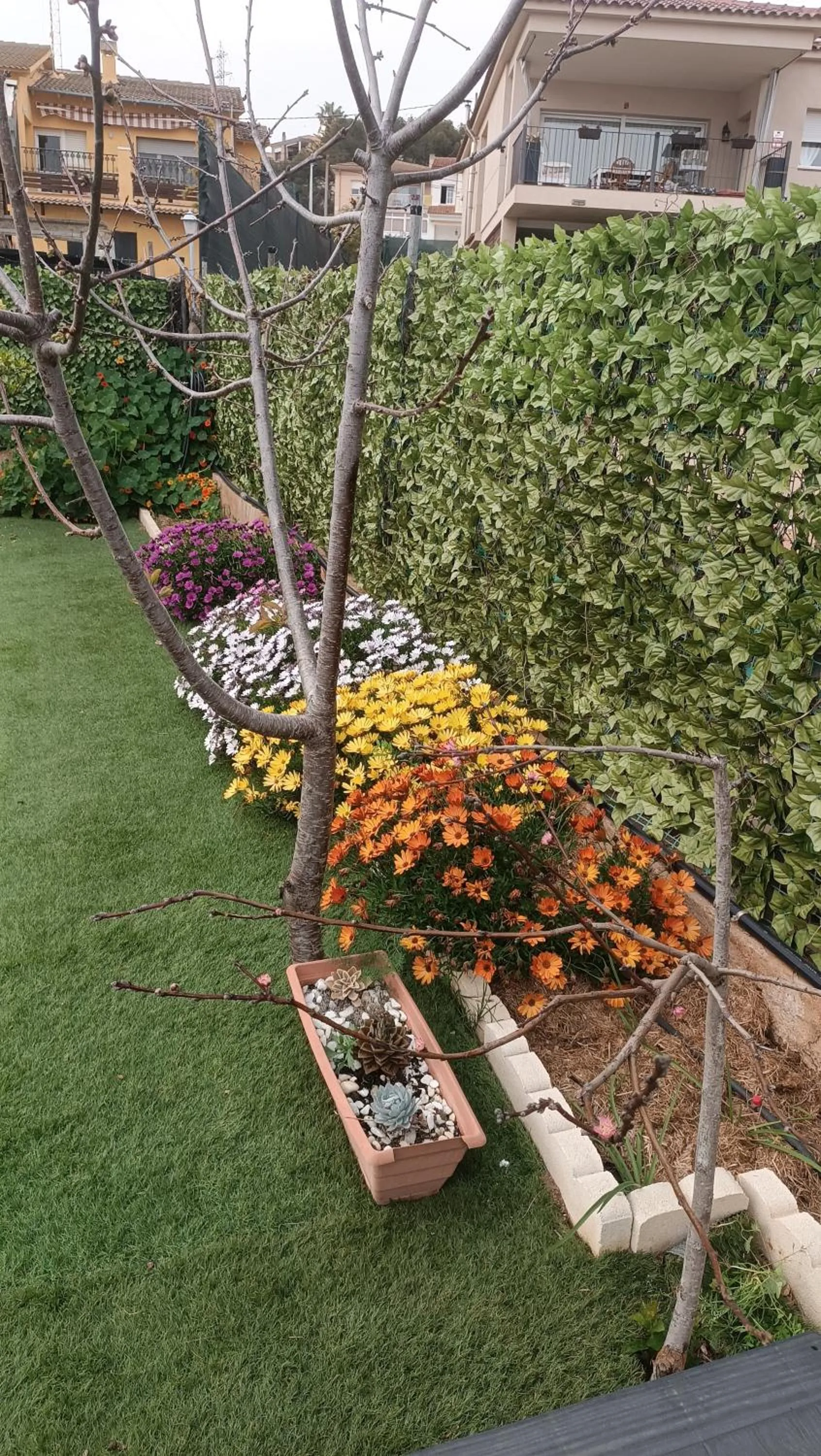 Garden in Escapada de ciudad al aire libre