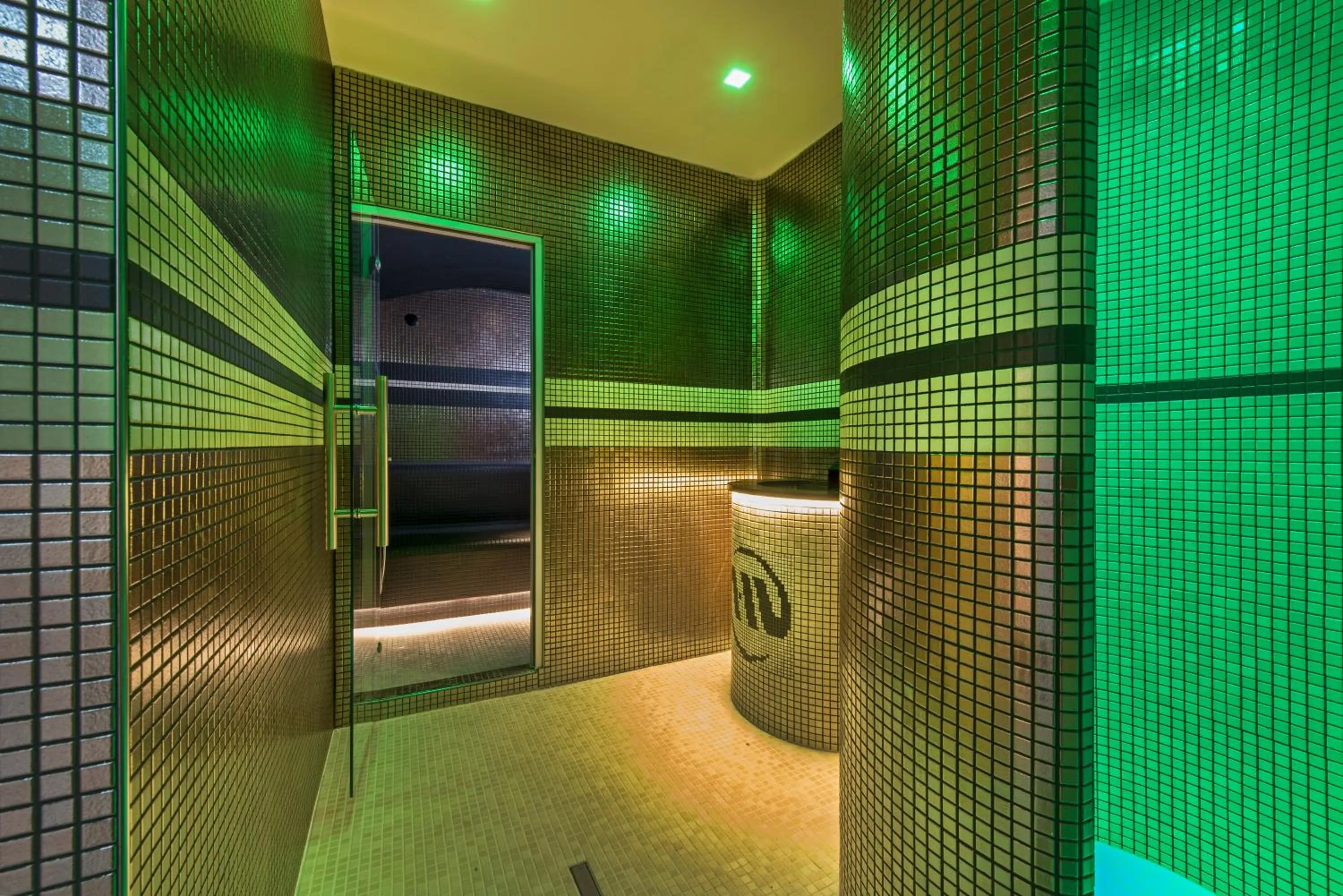 Spa and wellness centre/facilities in Hotel Meridianus