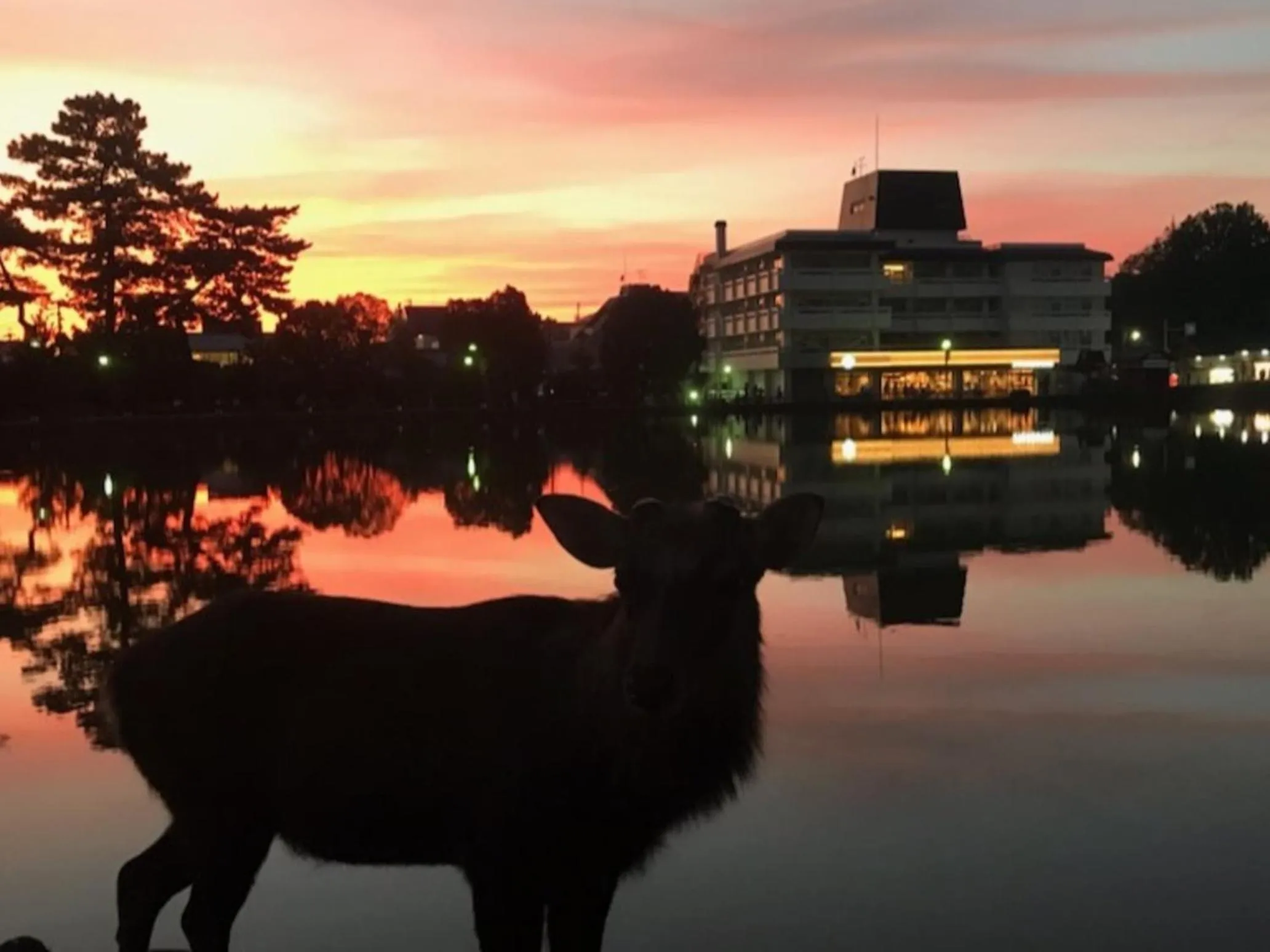 Nearby landmark in Yoshidaya Ryokan よしだや