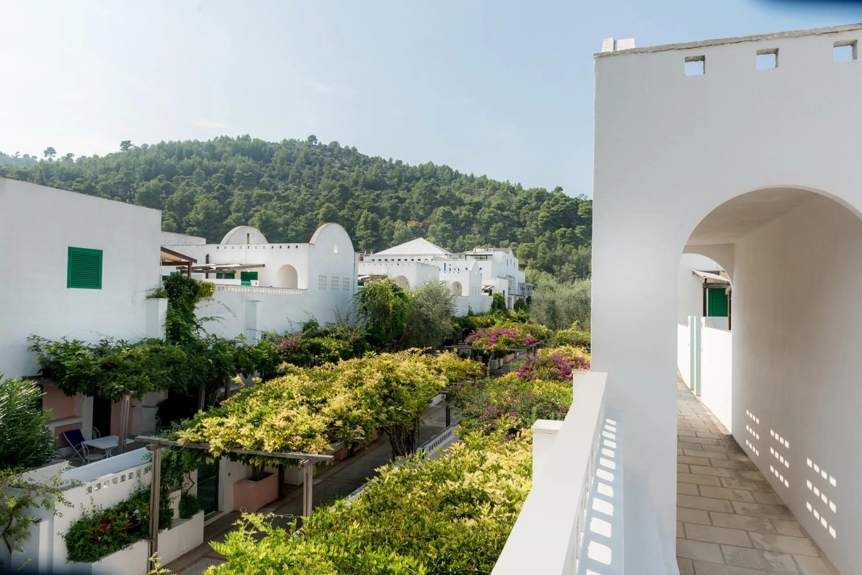 Garden in Hotel Club Village Maritalia