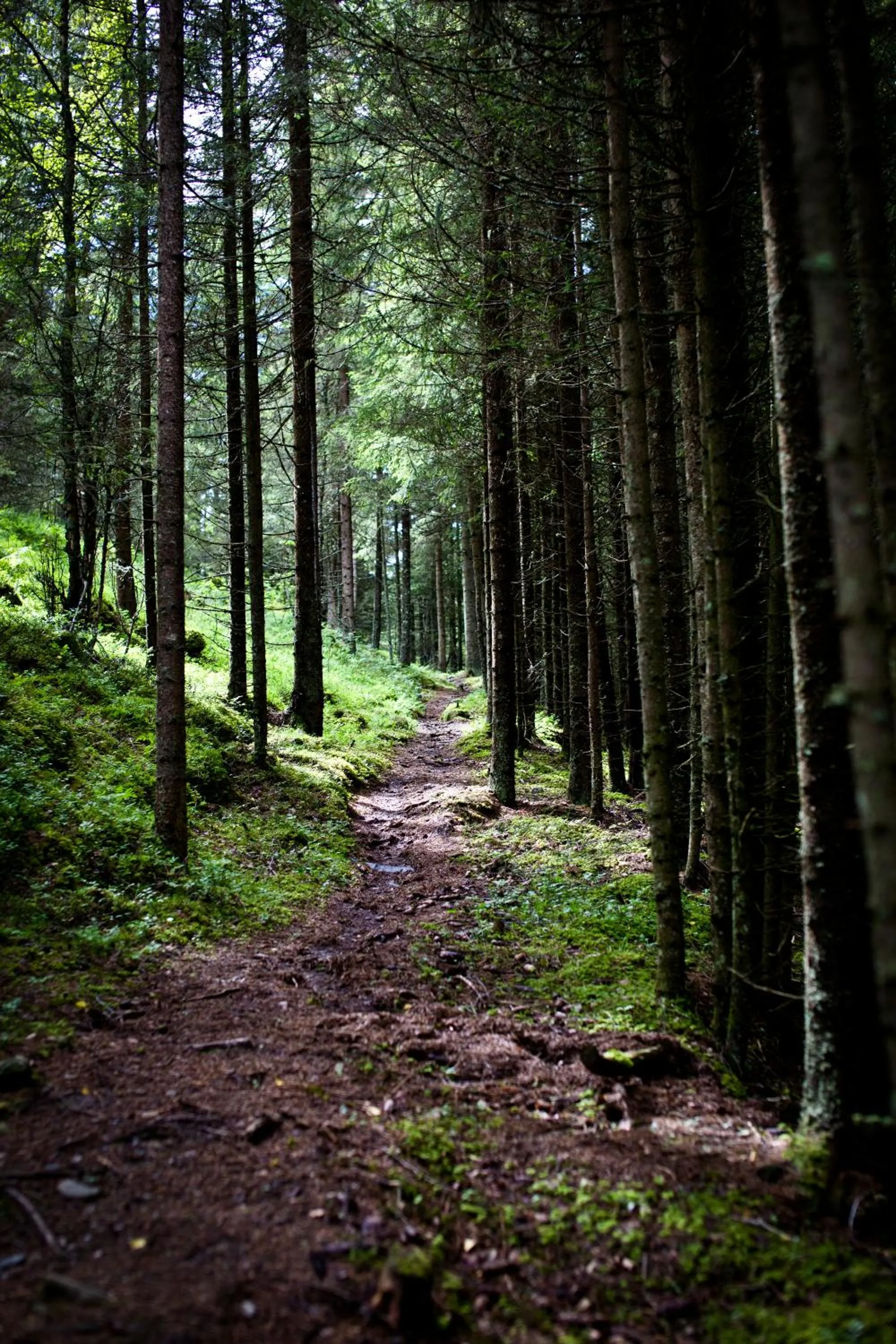 Day in Glomstad Gjestehus