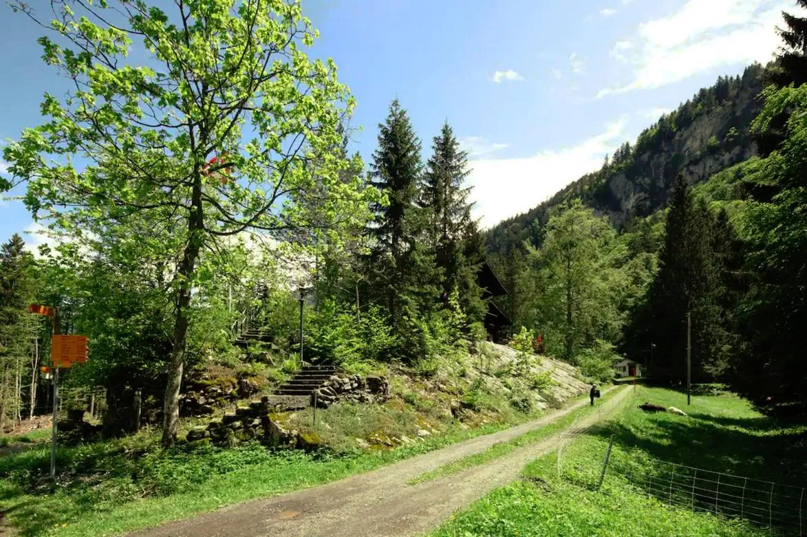 Natural landscape in Kunst- und Naturfreundehaus Brünig