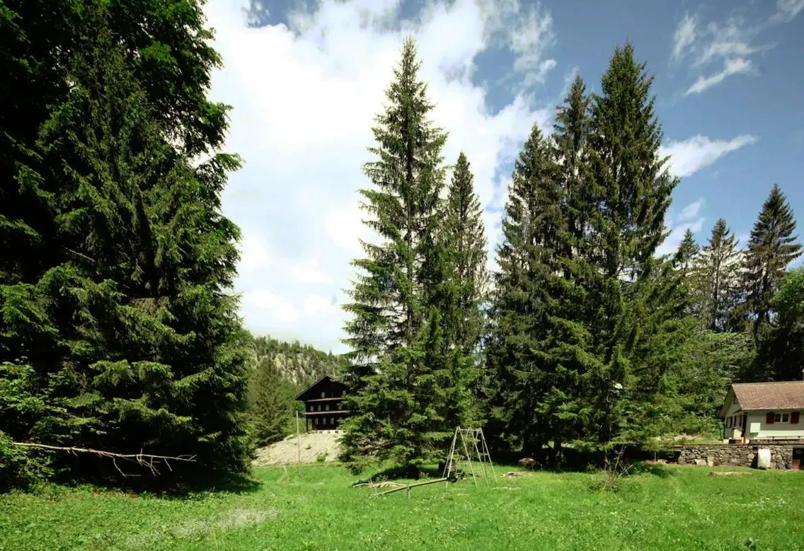 Garden in Kunst- und Naturfreundehaus Brünig