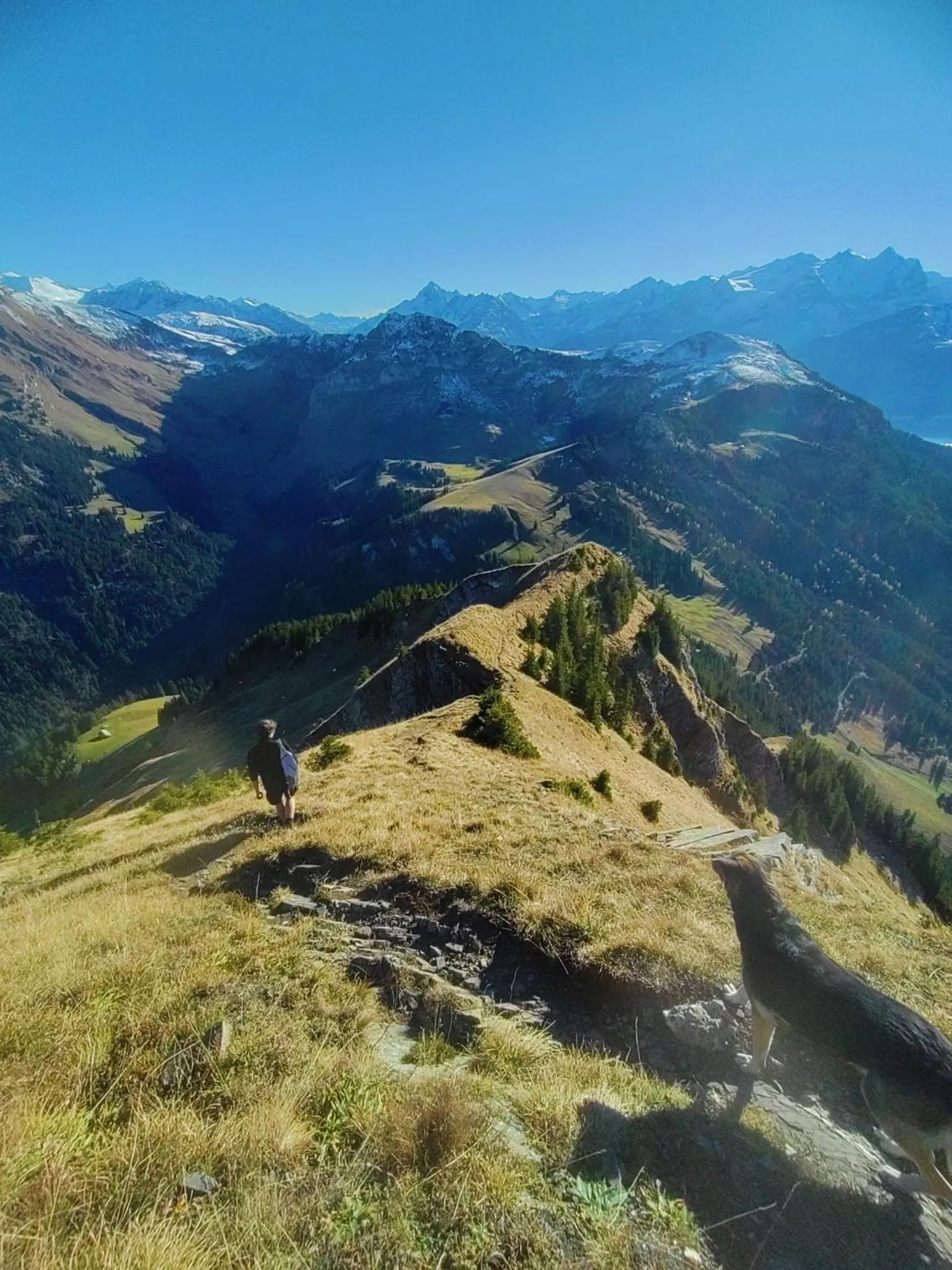 Hiking in Kunst- und Naturfreundehaus Brünig