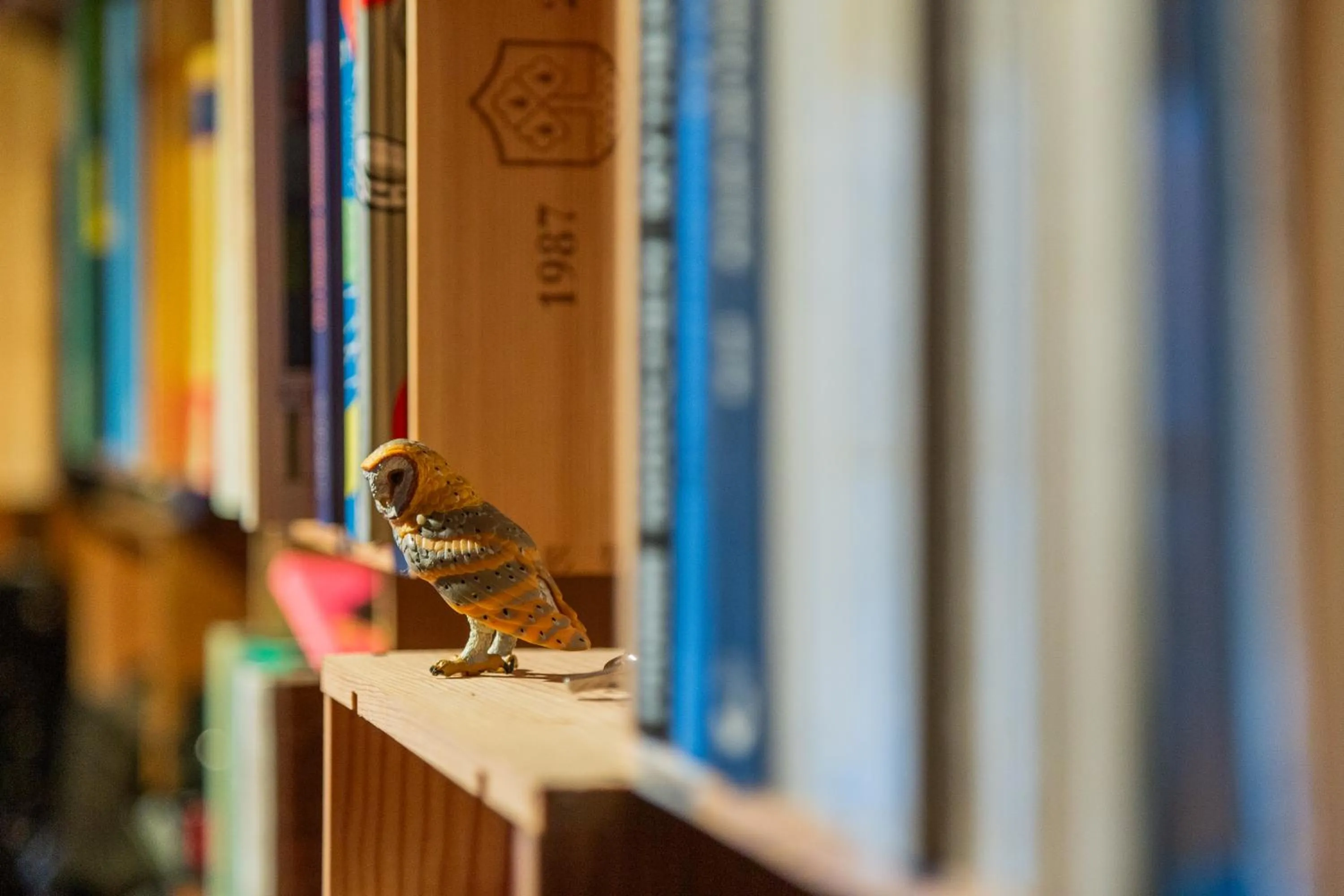 Library in Kunst- und Naturfreundehaus Brünig