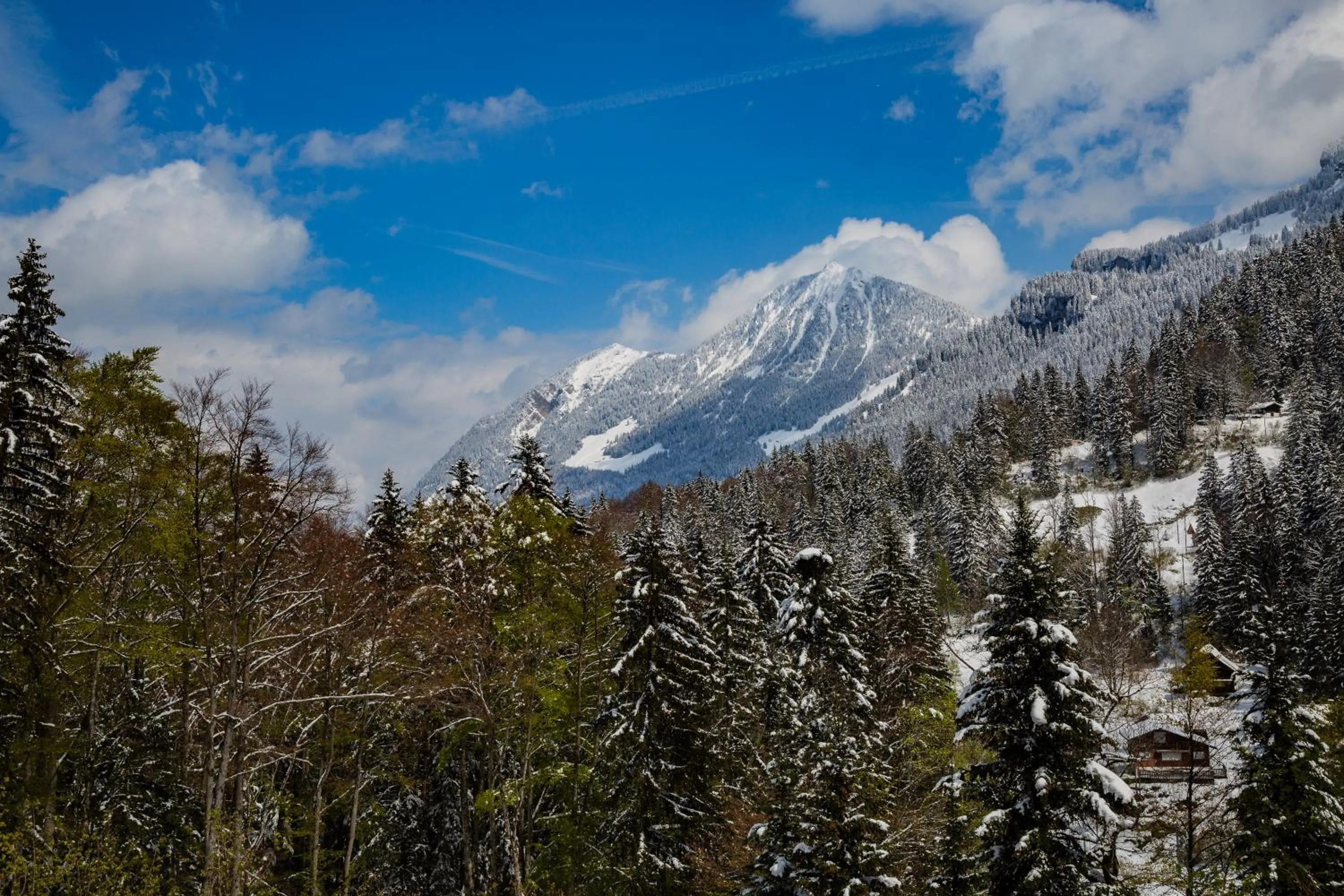 Kunst- und Naturfreundehaus Brünig