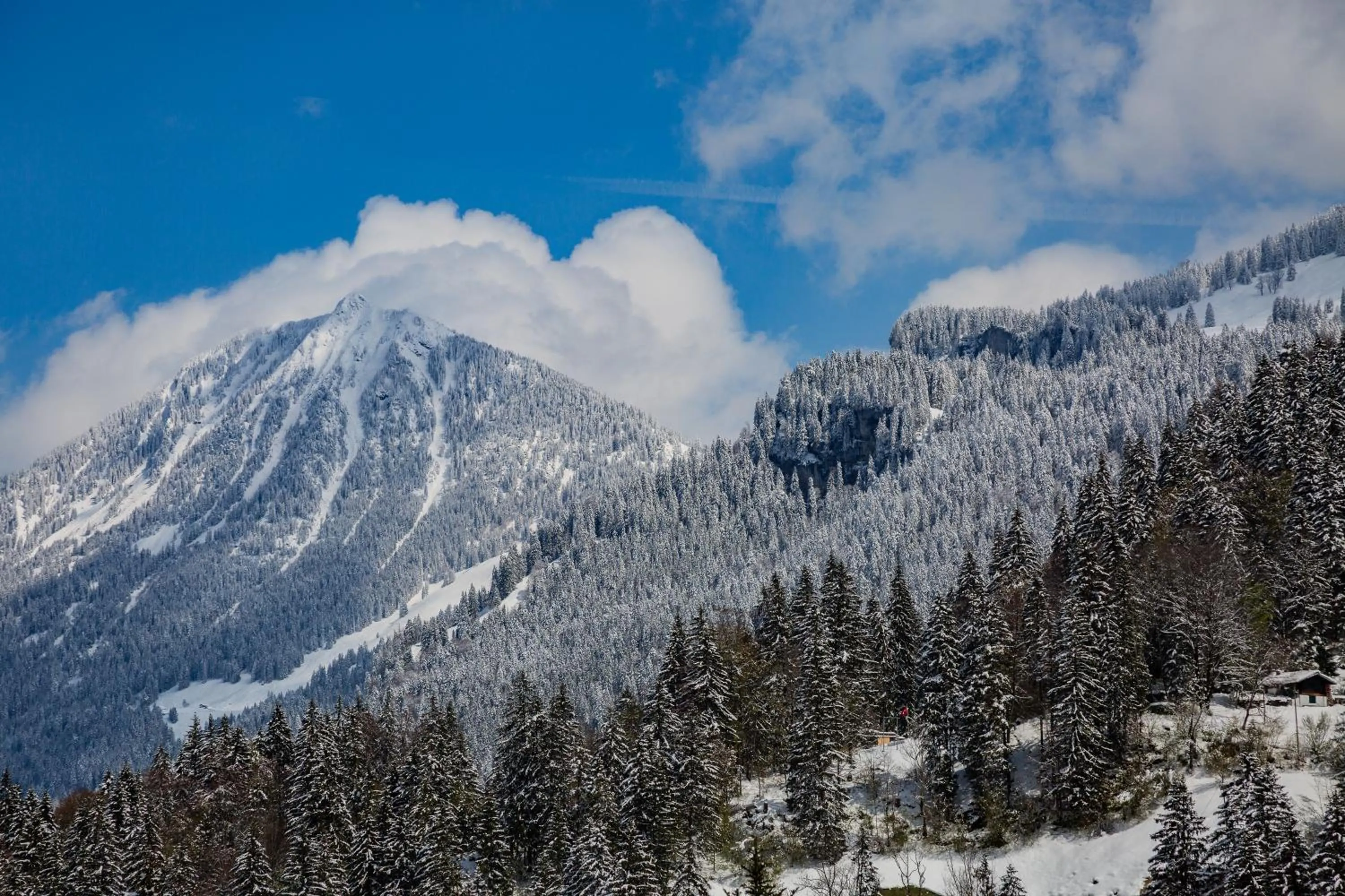 Kunst- und Naturfreundehaus Brünig