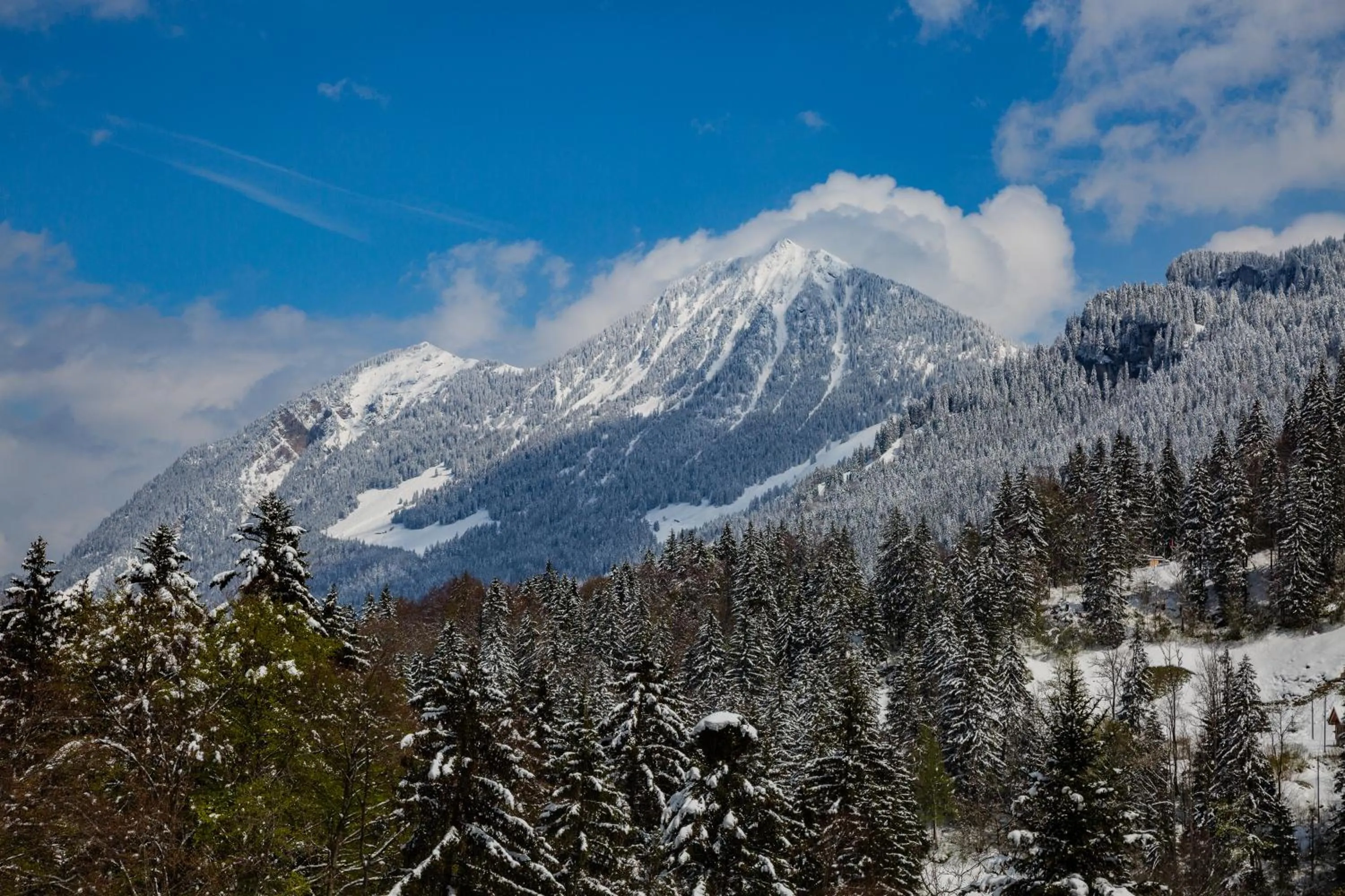 Day in Kunst- und Naturfreundehaus Brünig
