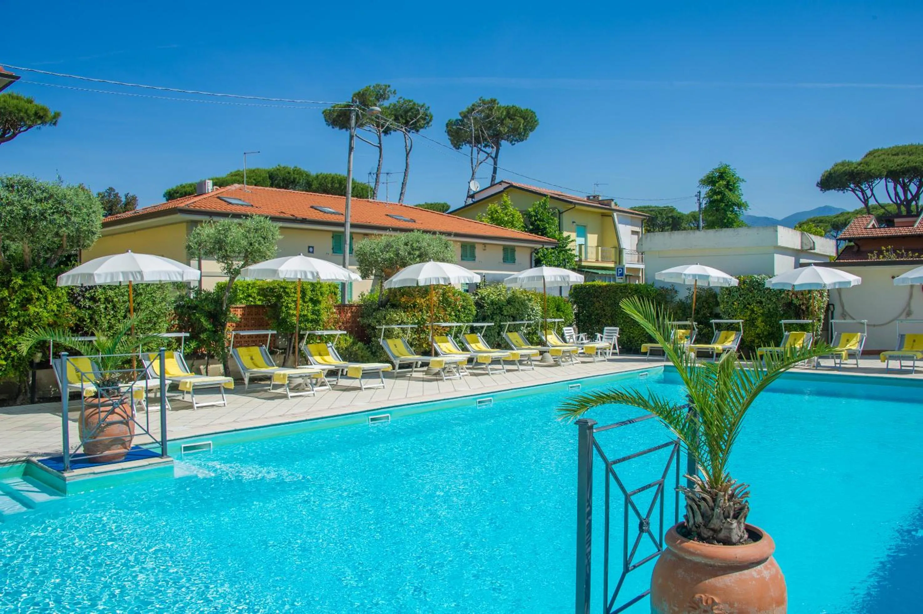 Swimming pool in Hotel Suisse