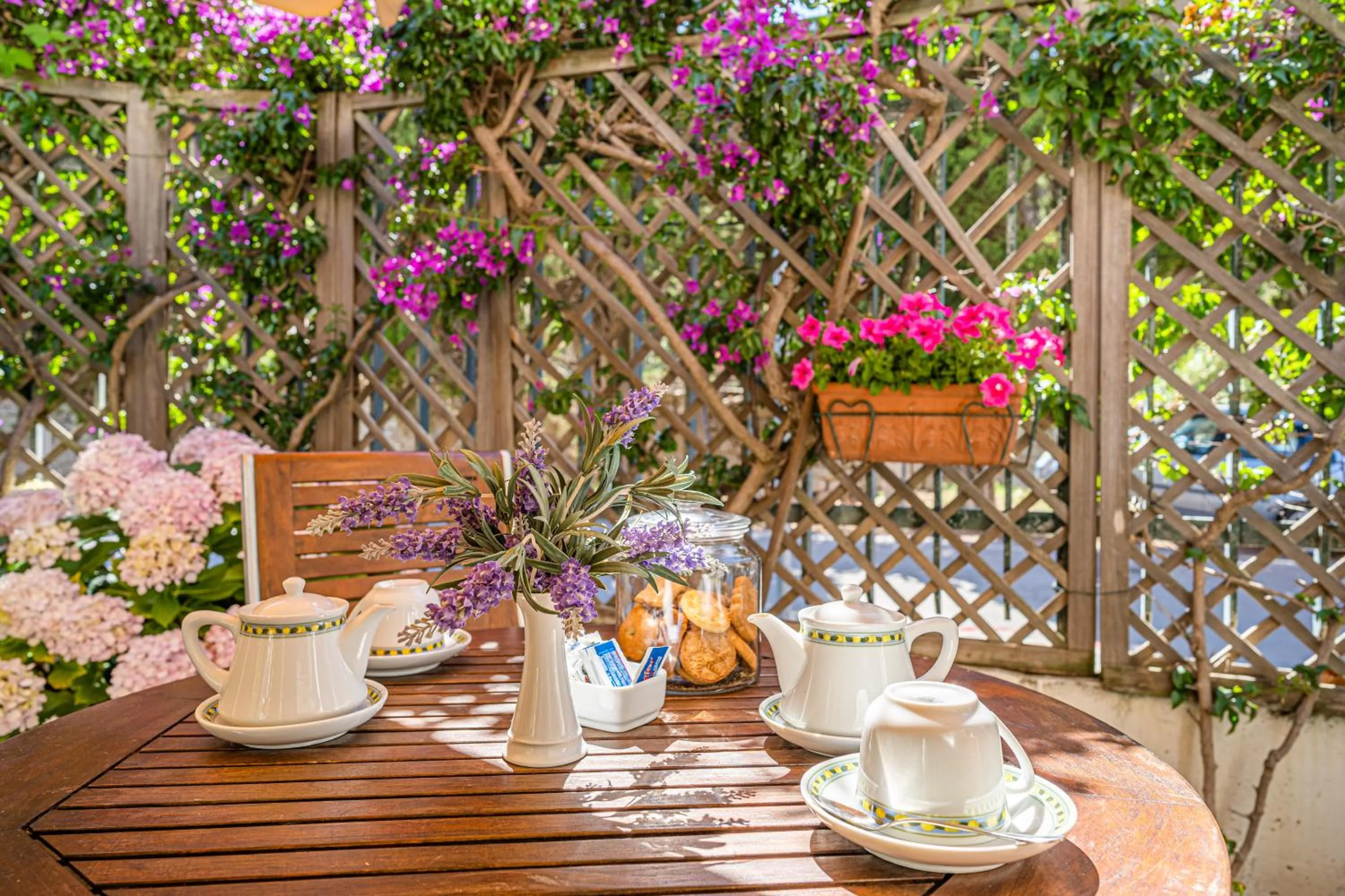 Garden in Hotel Yacht Club