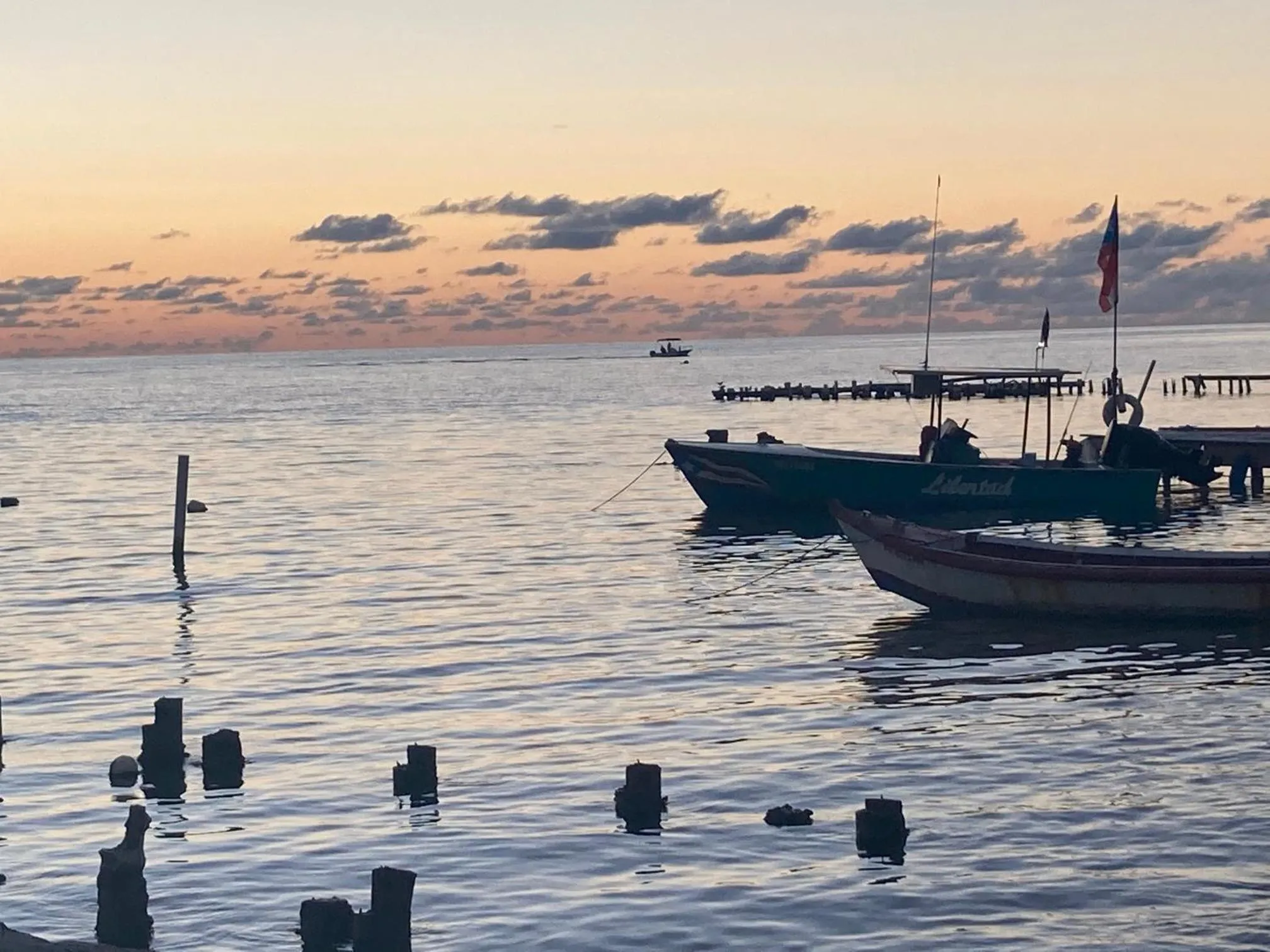 Beach in Wild Flowers Rooms