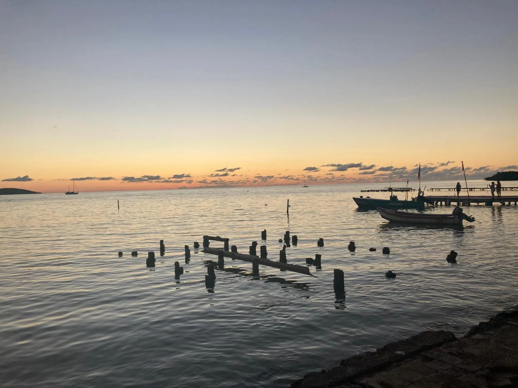 Beach in Wild Flowers Rooms