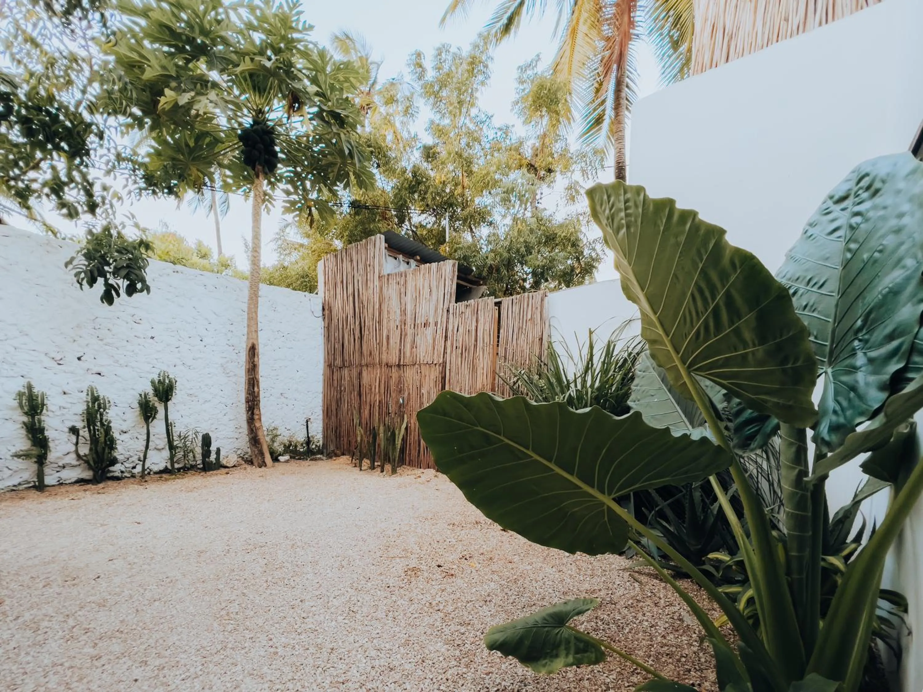 Garden in BaraBara Eat&Sleep