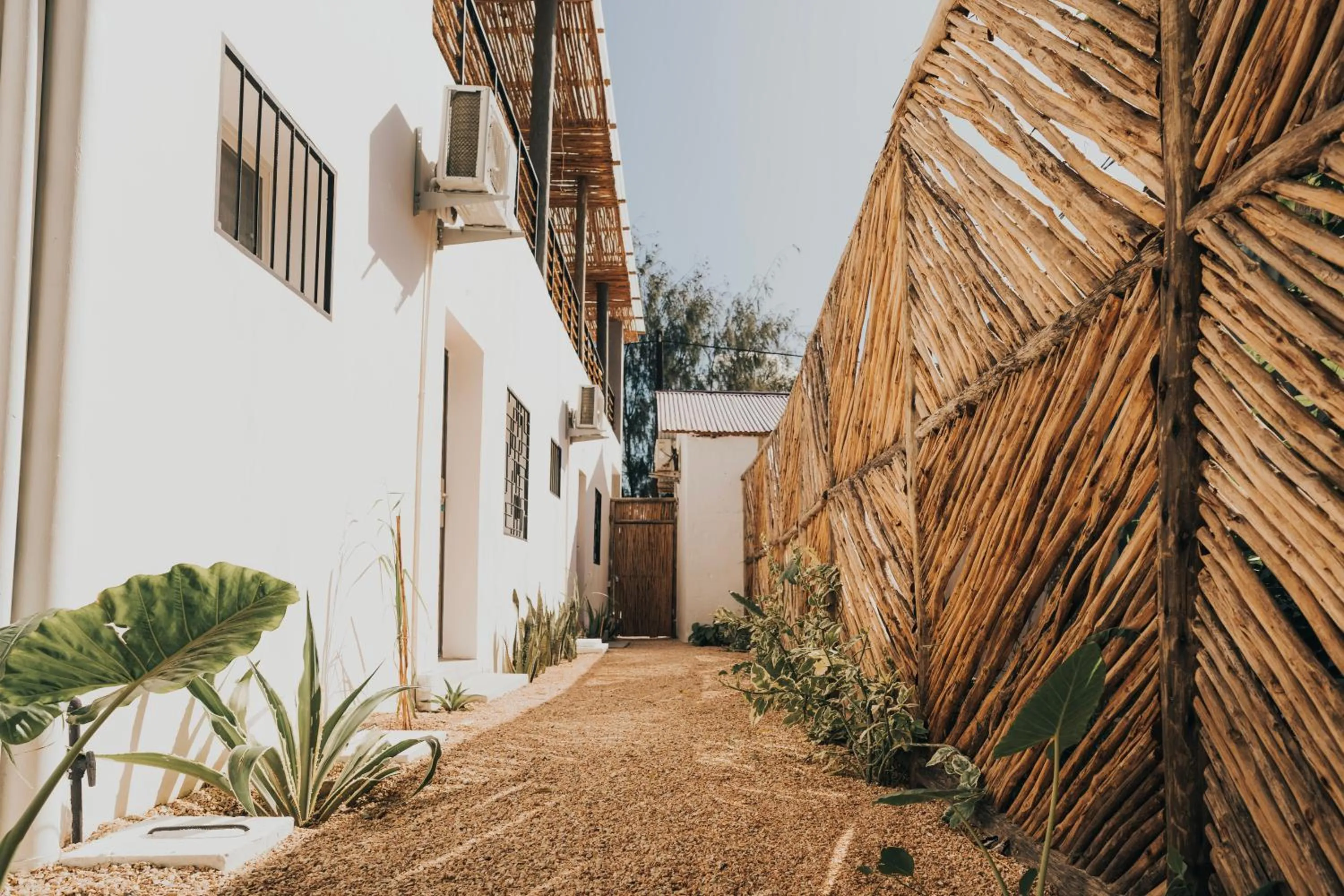 Garden in BaraBara Eat&Sleep