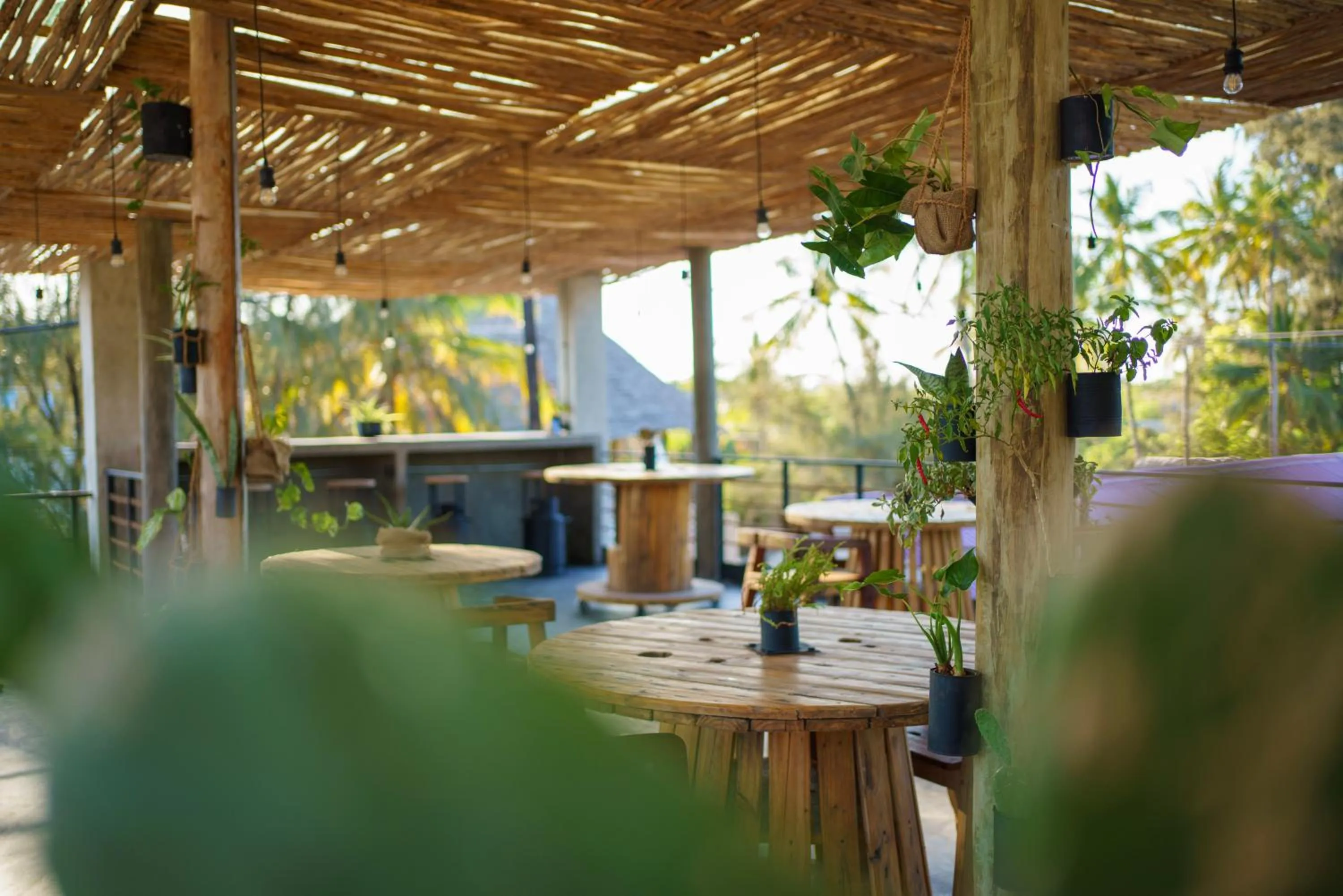 Day in BaraBara Eat&Sleep