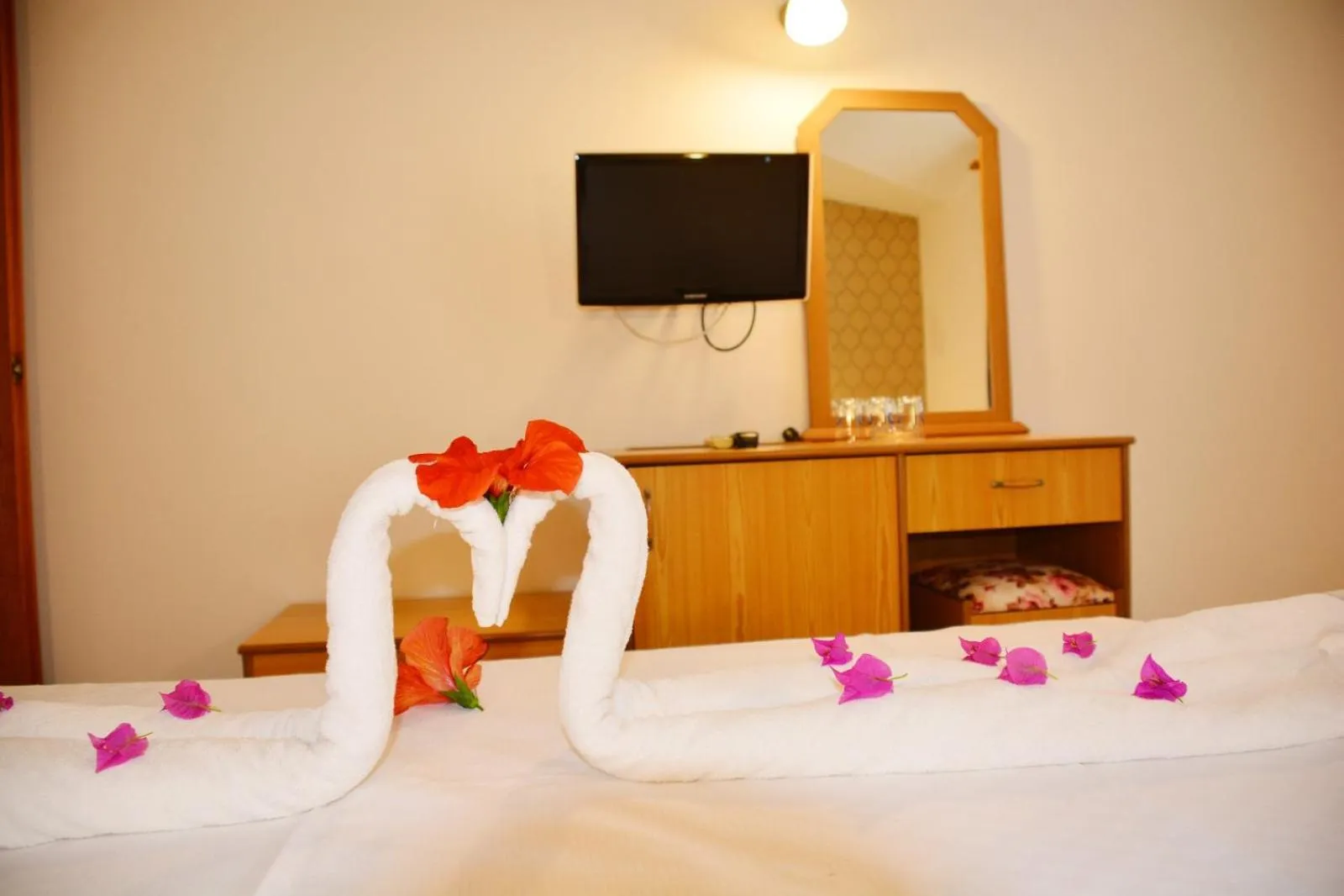 TV and multimedia in Miranda Moral Beach