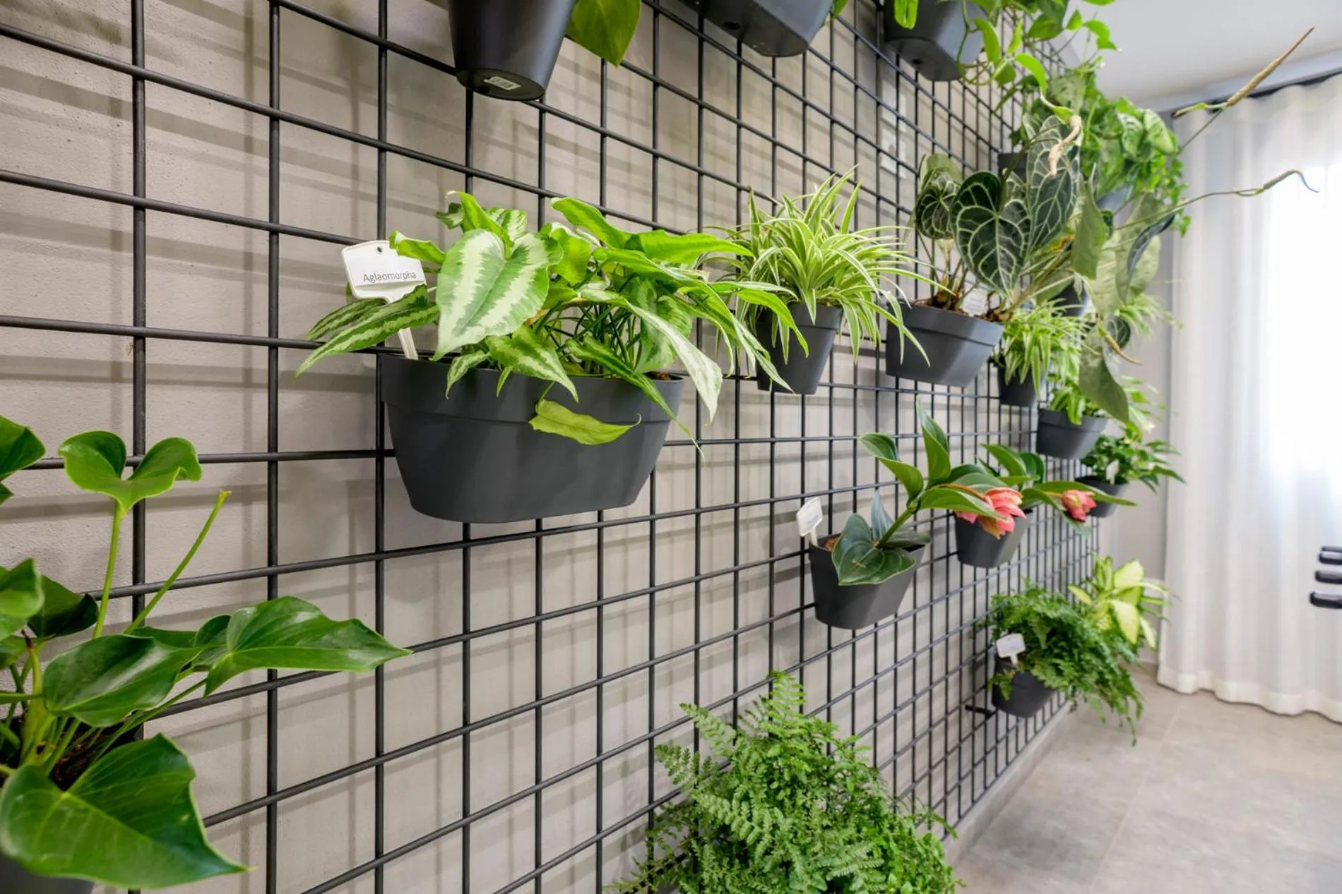 Seating area in Hotel Bareta