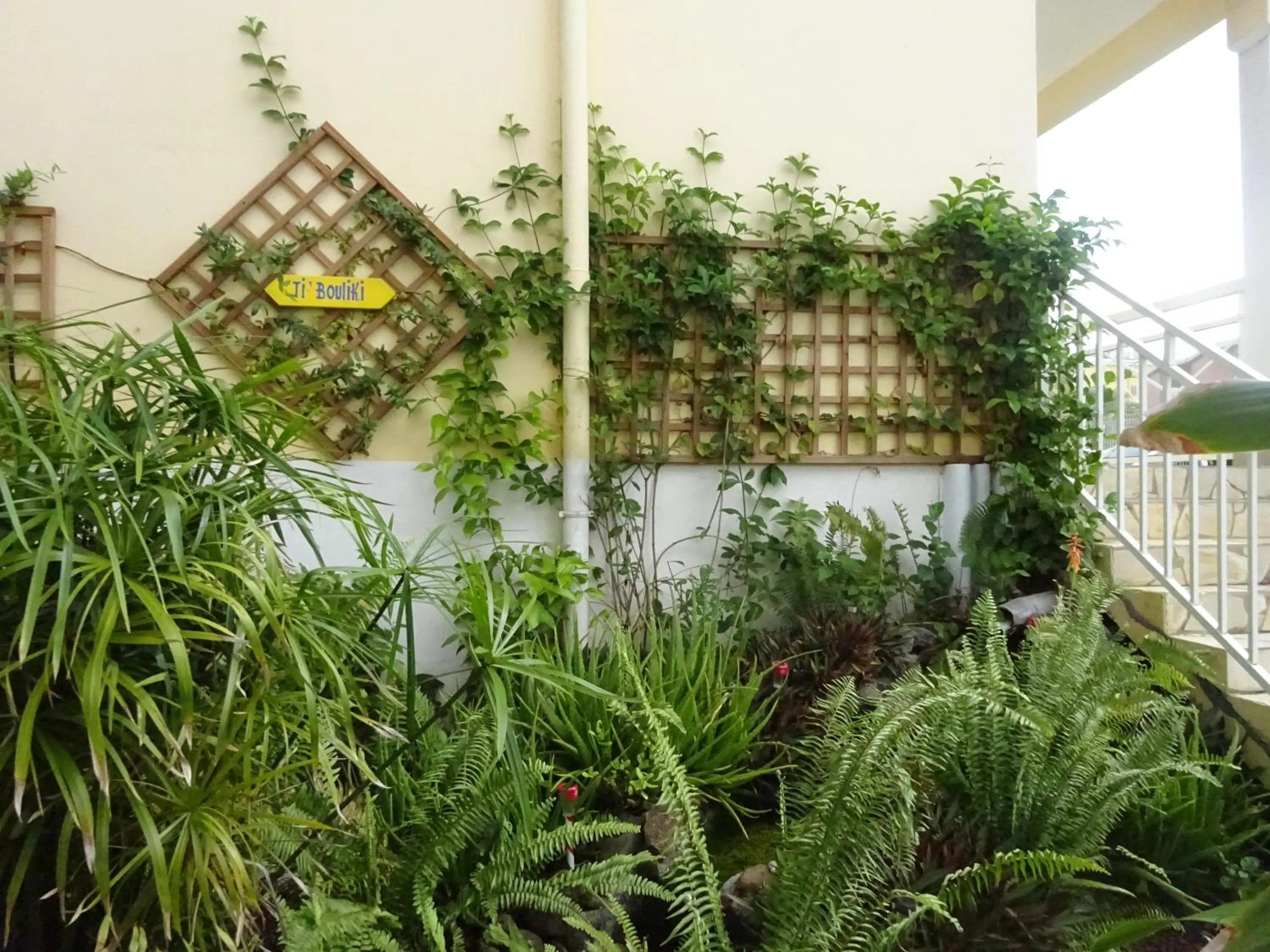 View (from property/room) in Les Créolines