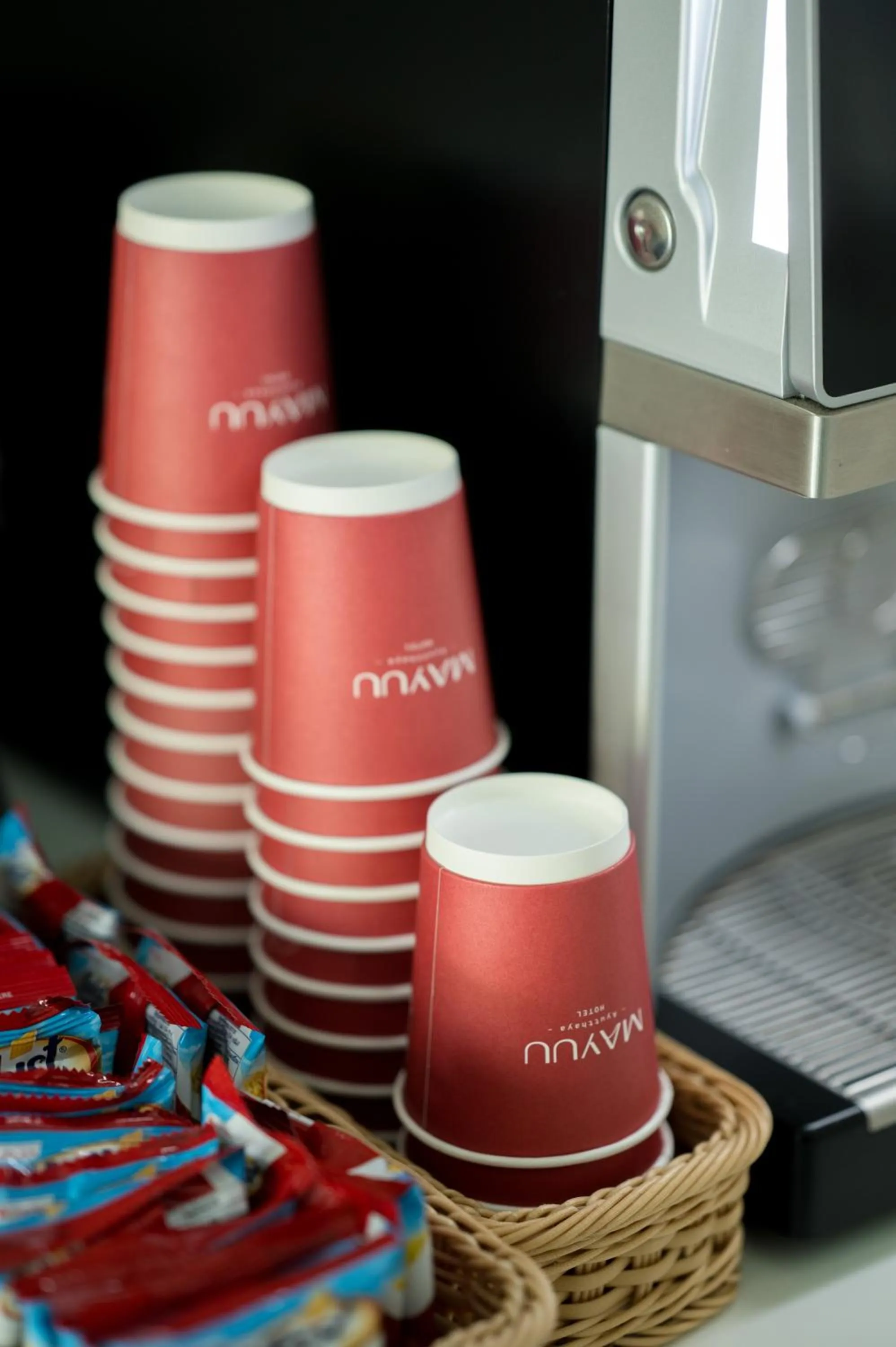 Mayuu Ayutthaya Hotel