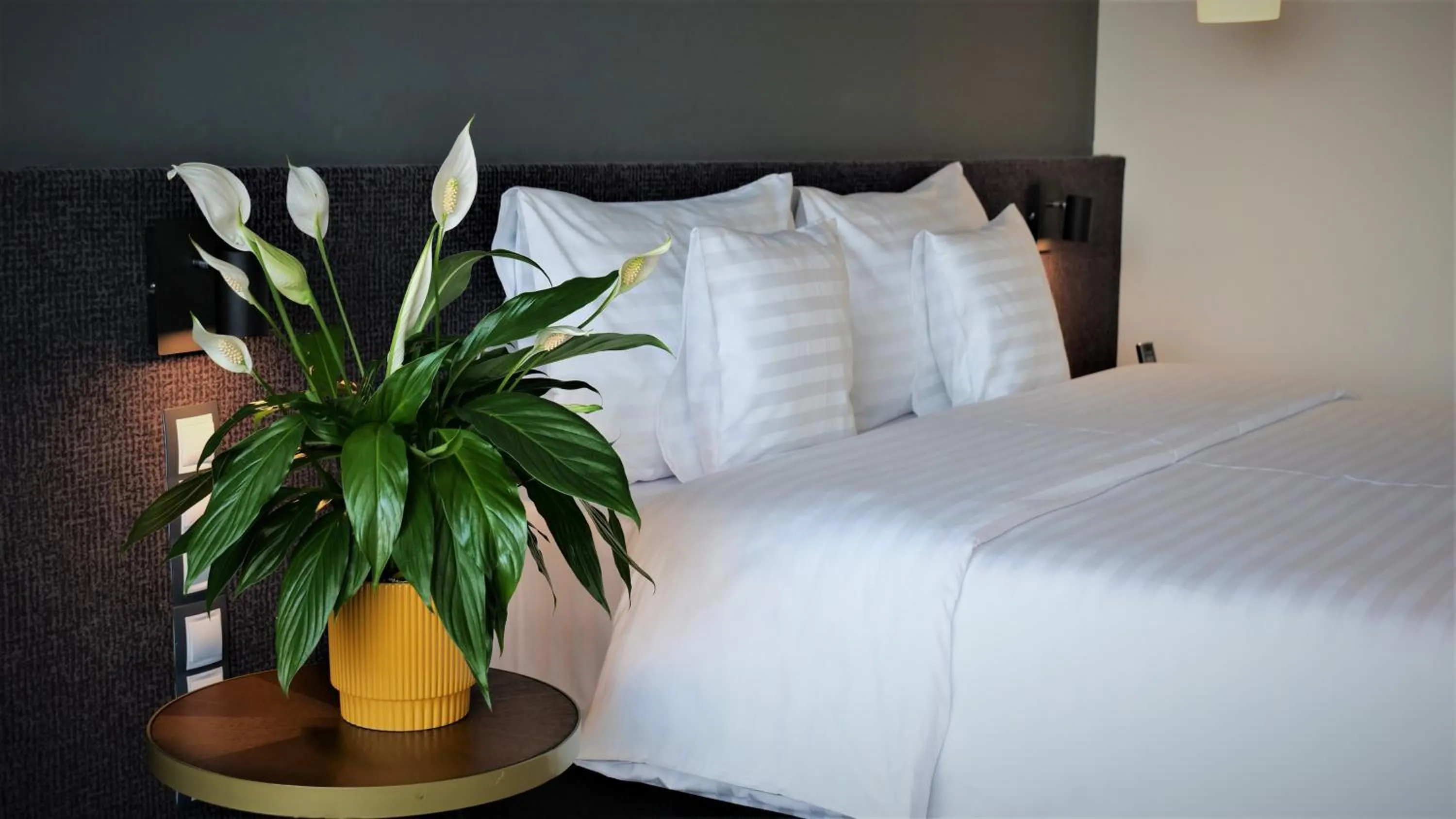 Bed in WERK Hotel & SPA