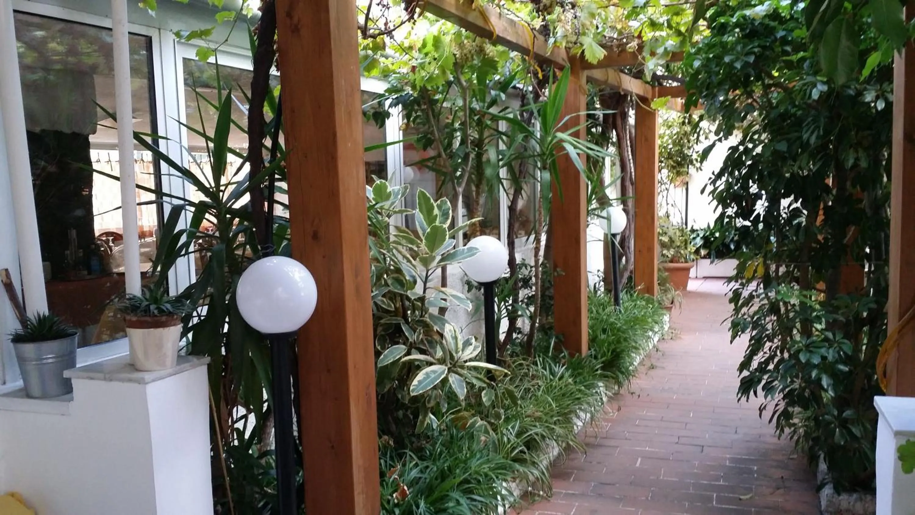 Garden in Hotel San Giorgio