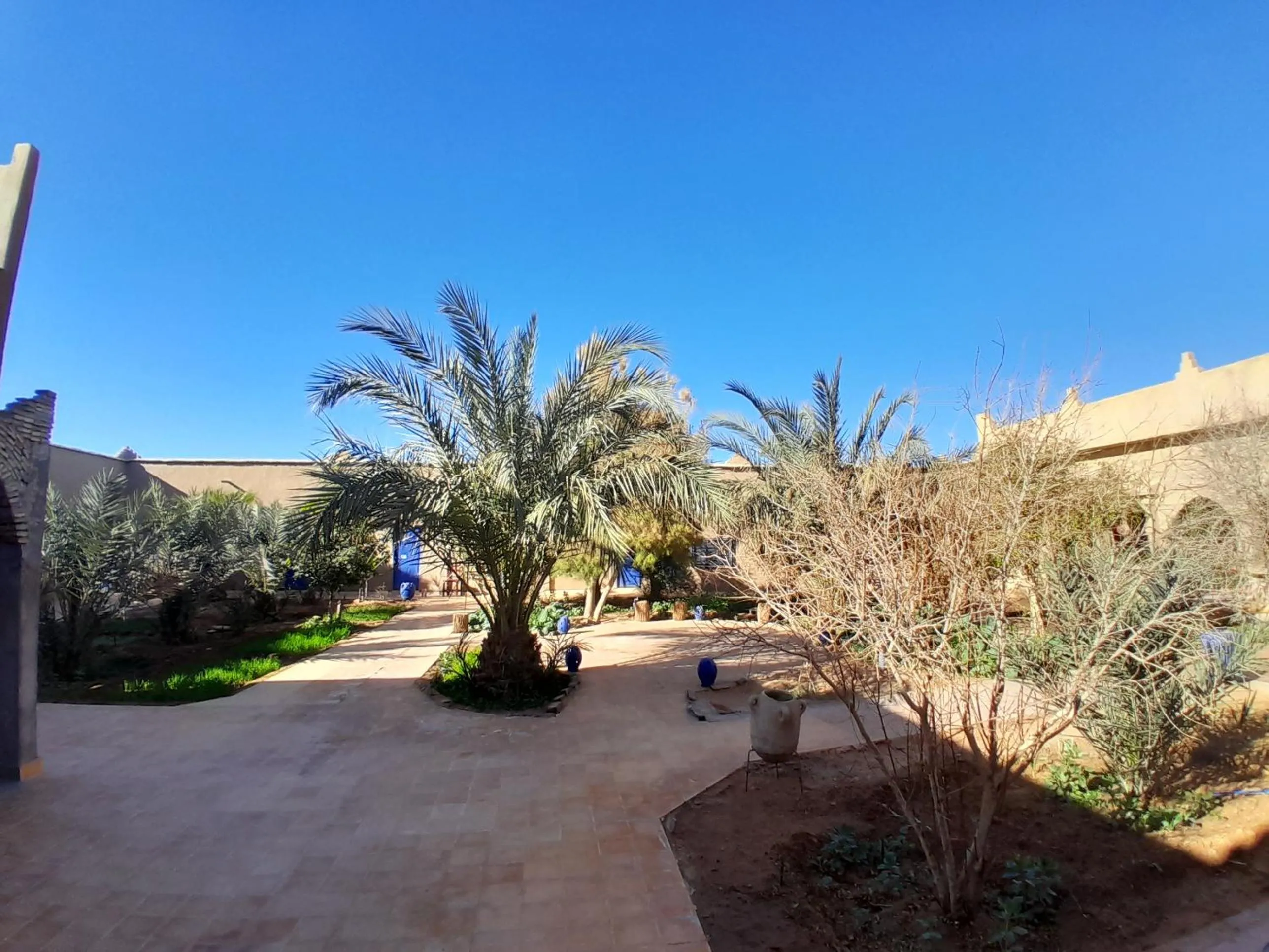 Garden in Hôtel Camping La Liberté