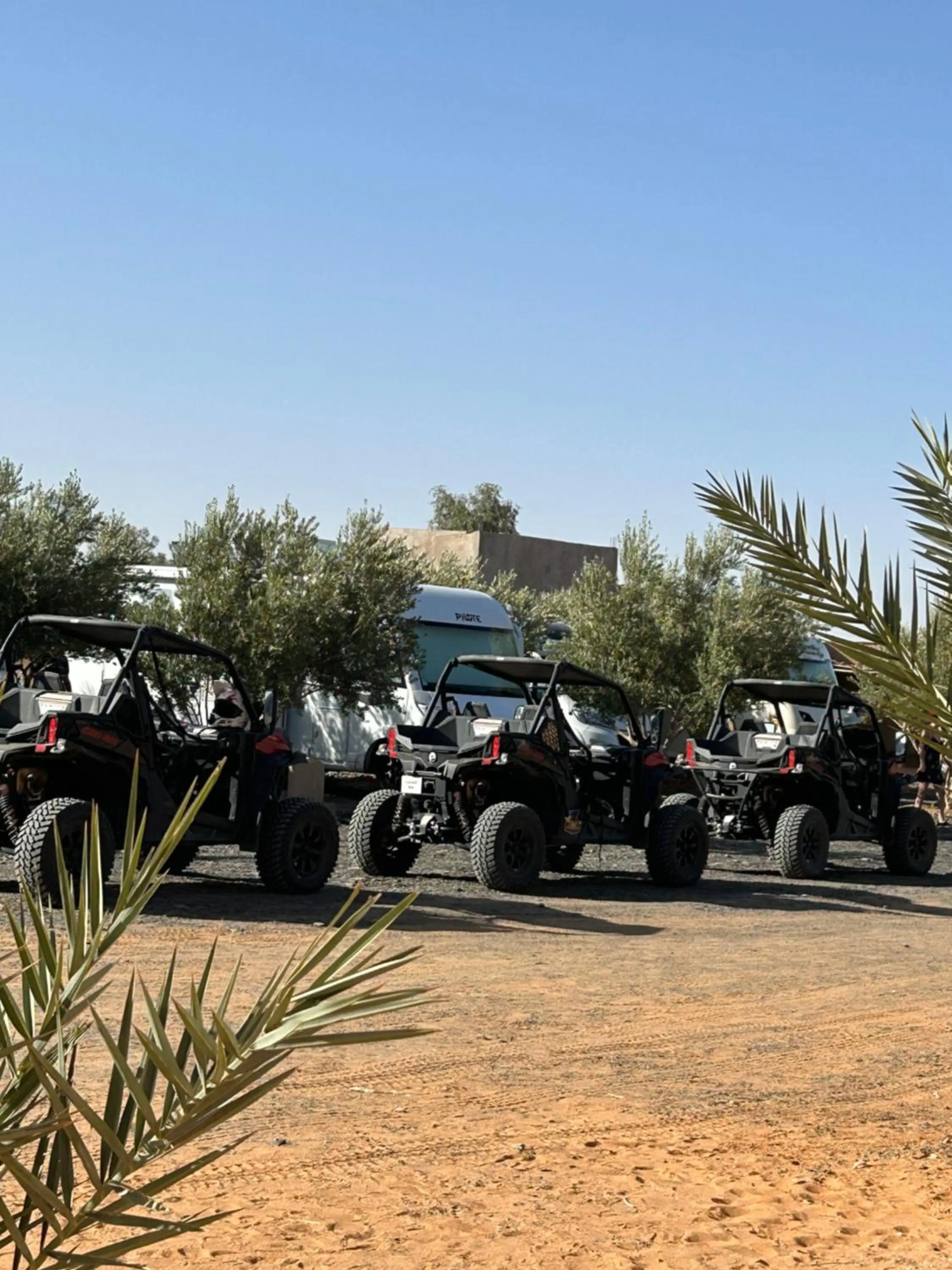 Activities in Hôtel Camping La Liberté