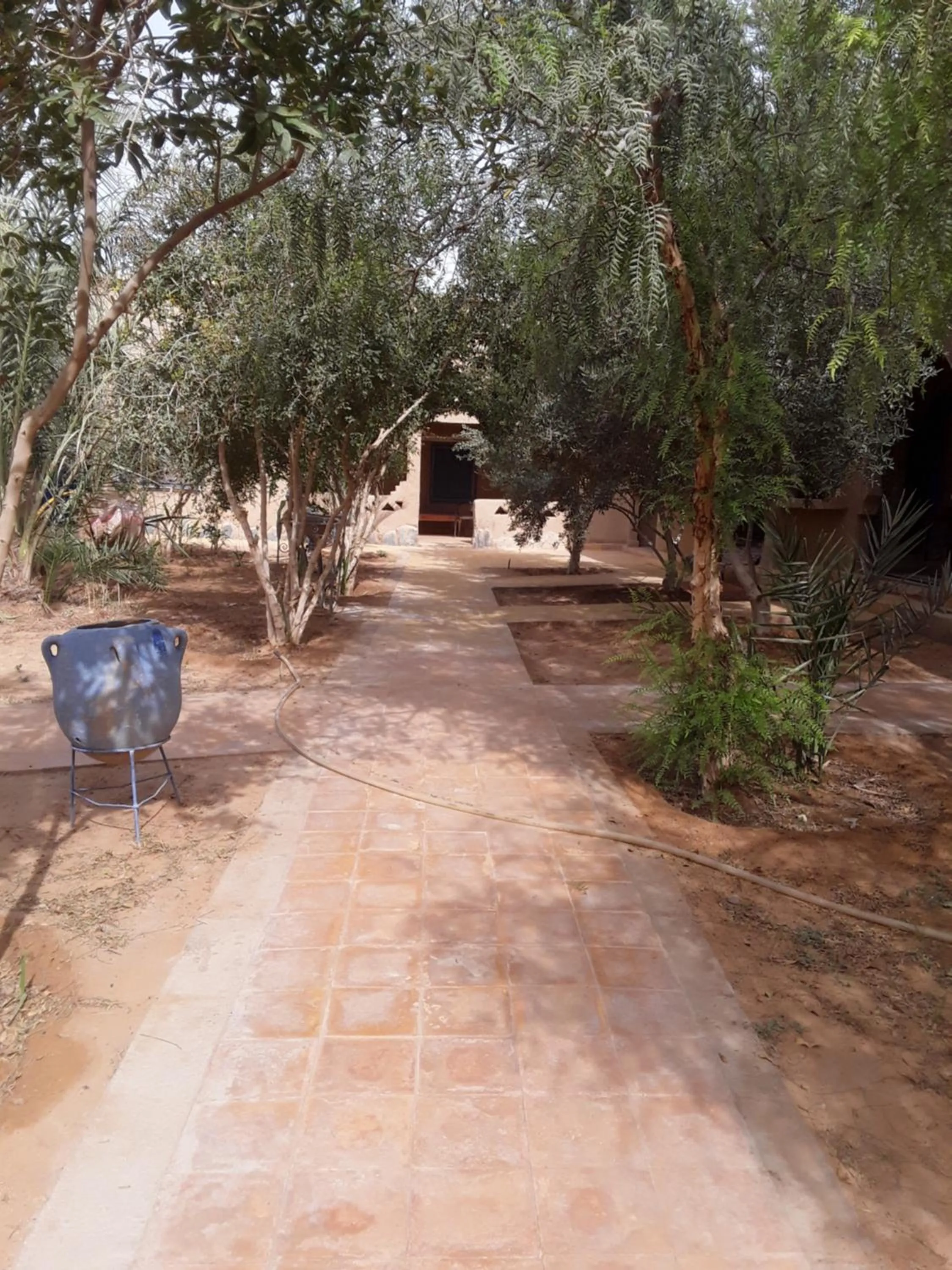 Garden in Hôtel Camping La Liberté
