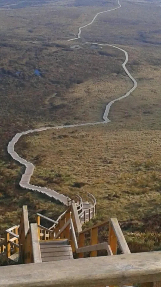 Nearby landmark in Lake Avenue House