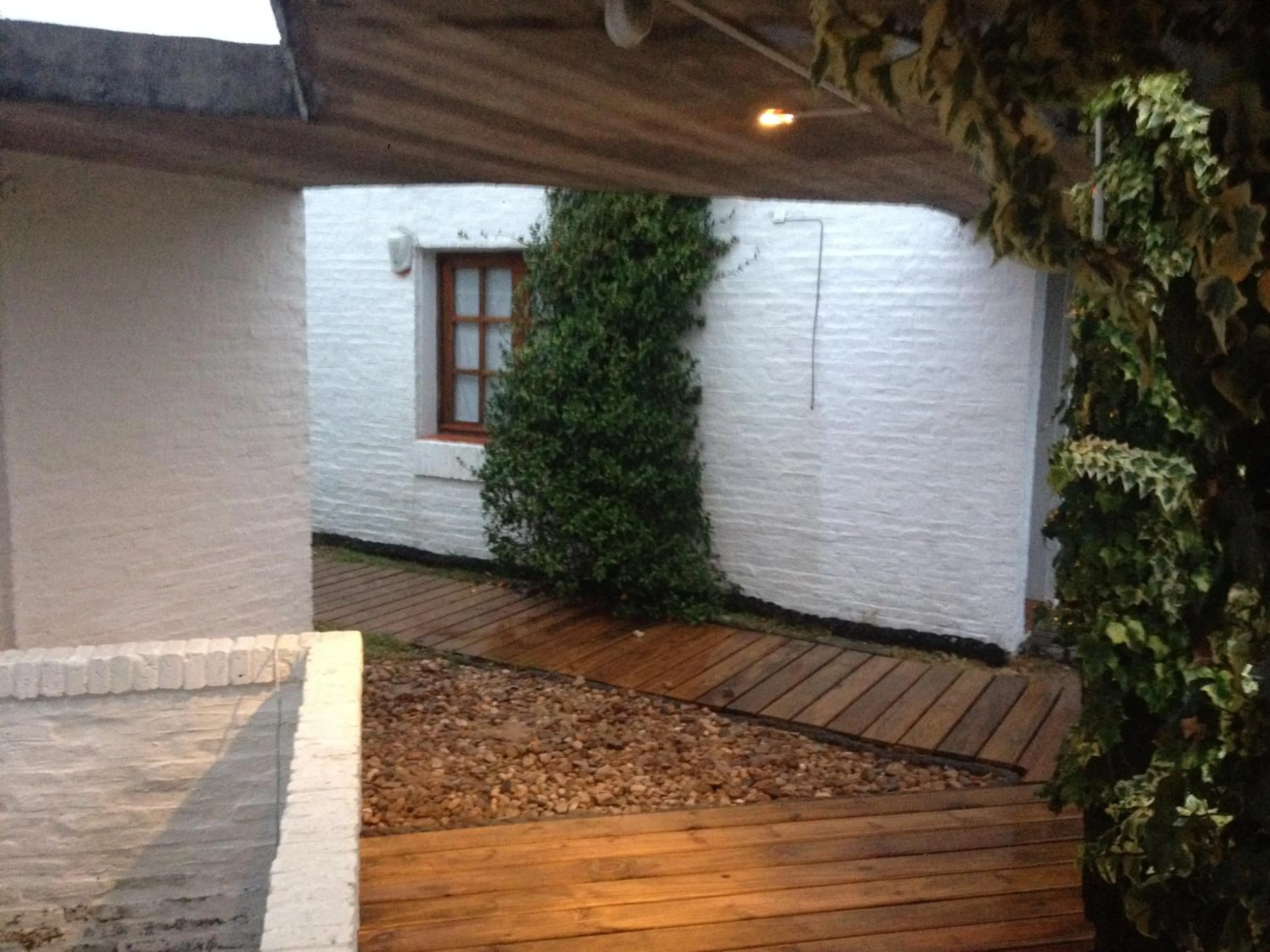 Garden in Complejo Oceanico