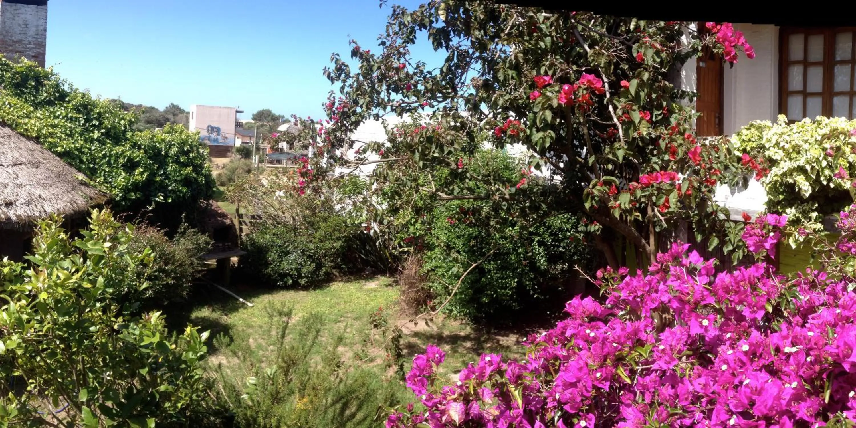 Garden in Complejo Oceanico