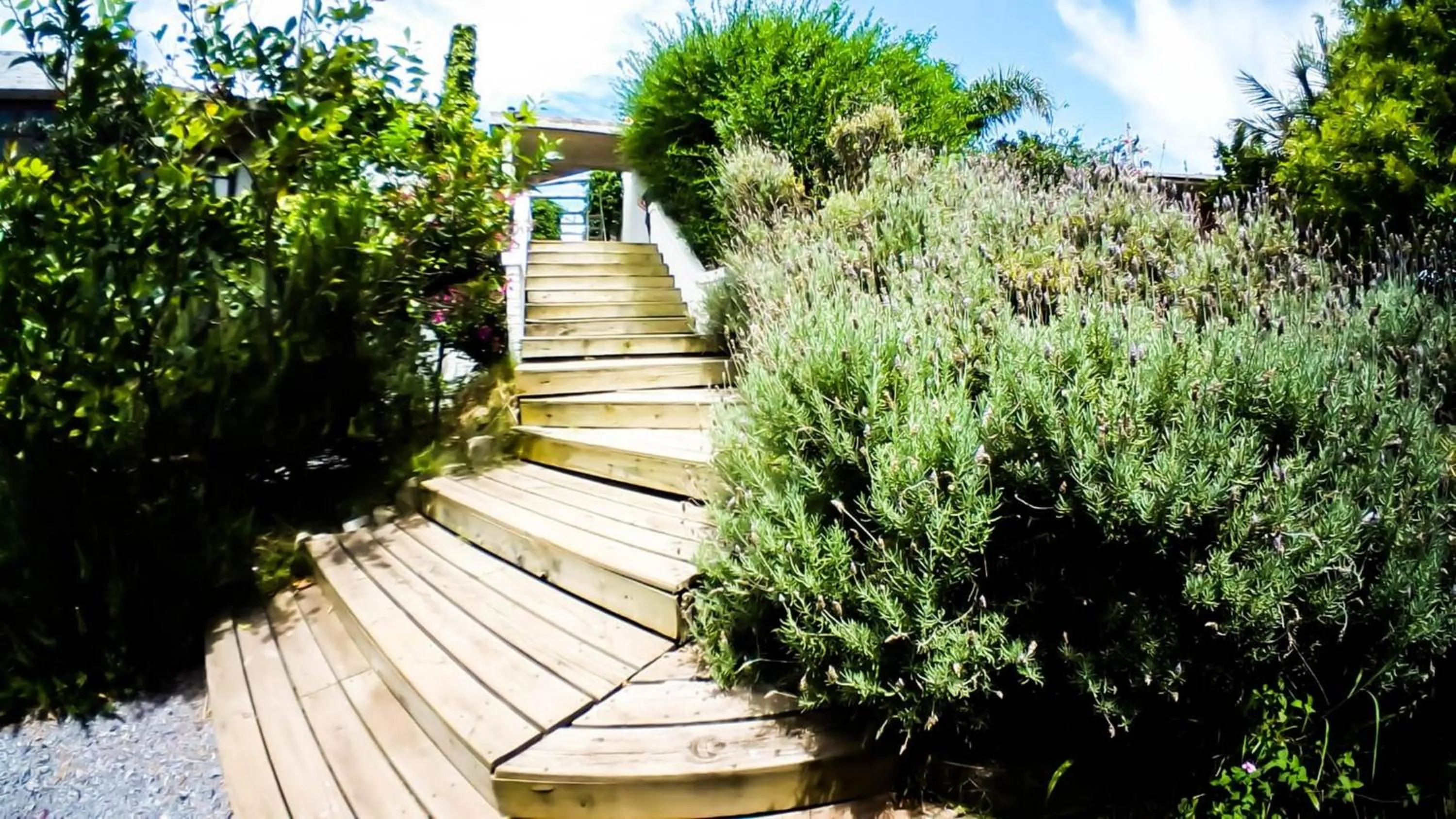 Patio in Complejo Oceanico