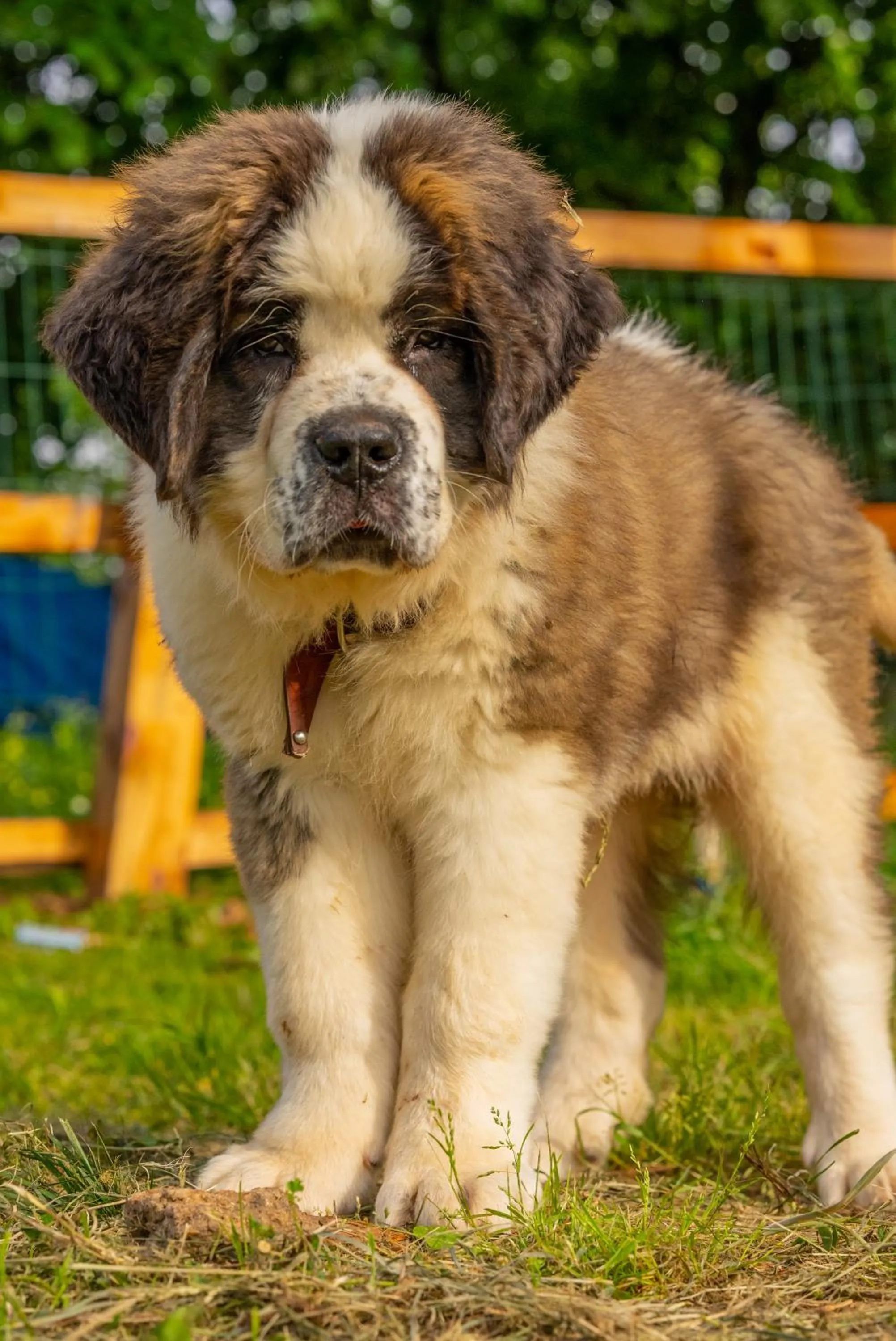 Alya Kartepe Villa Hotel