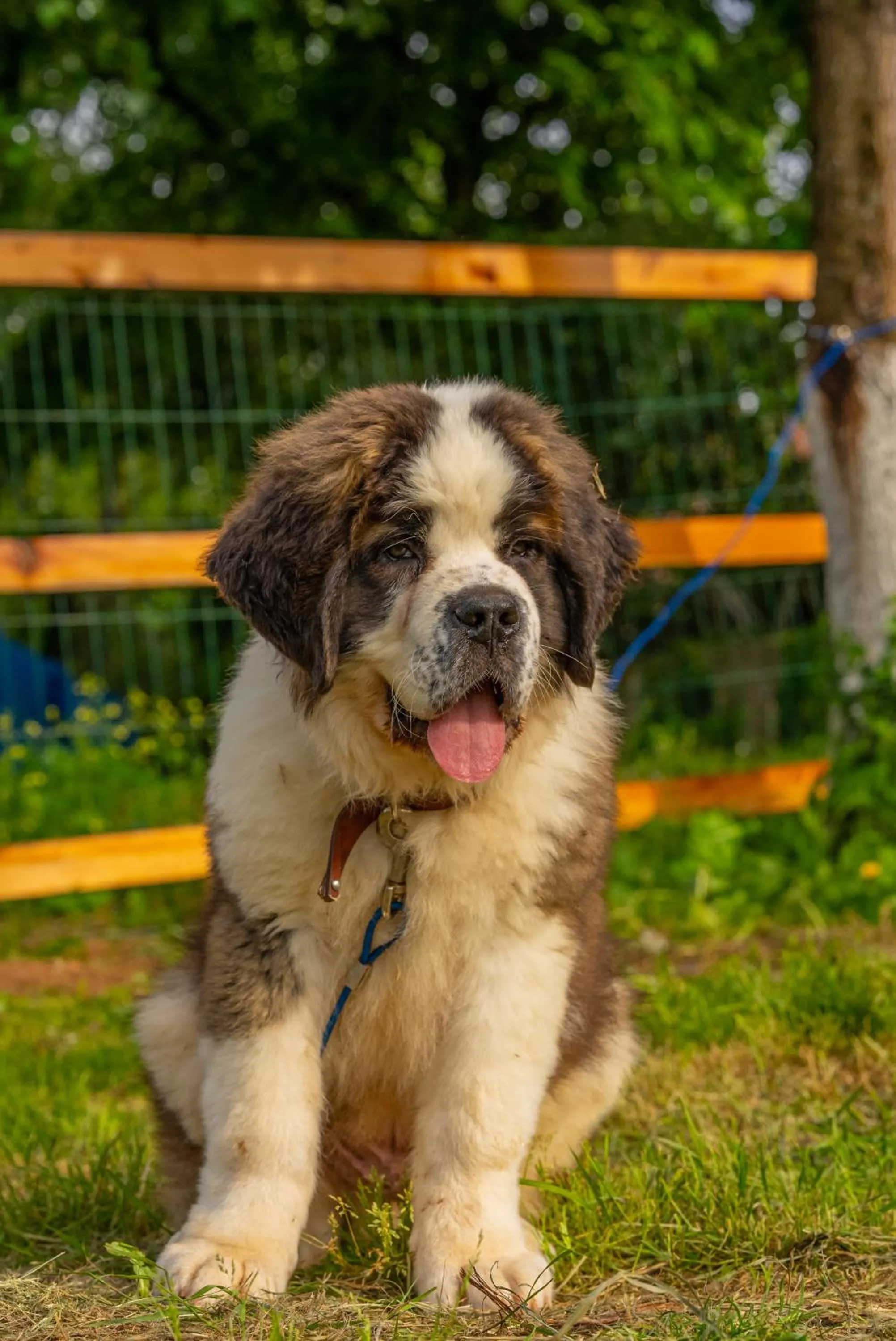 Alya Kartepe Villa Hotel