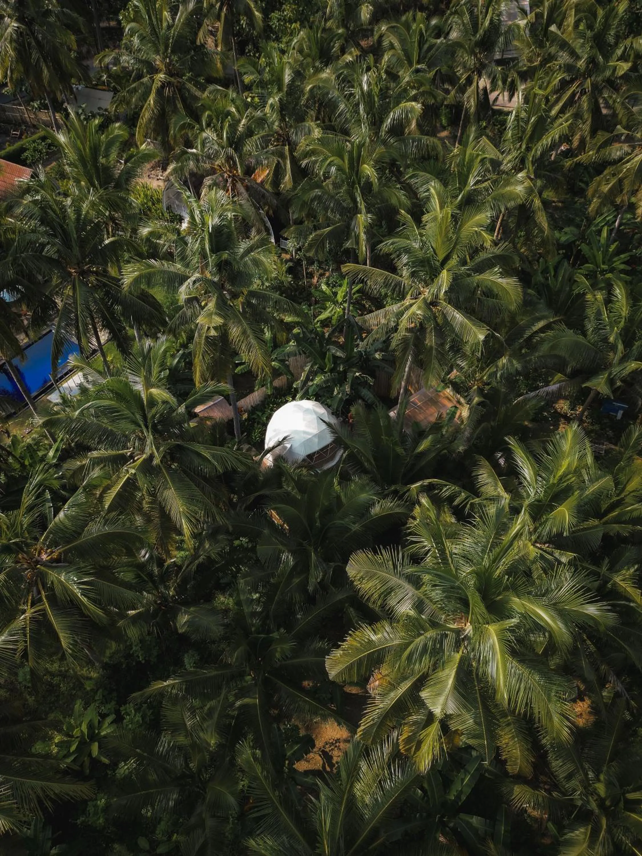 Bird's eye view in La Royale Nusa Penida