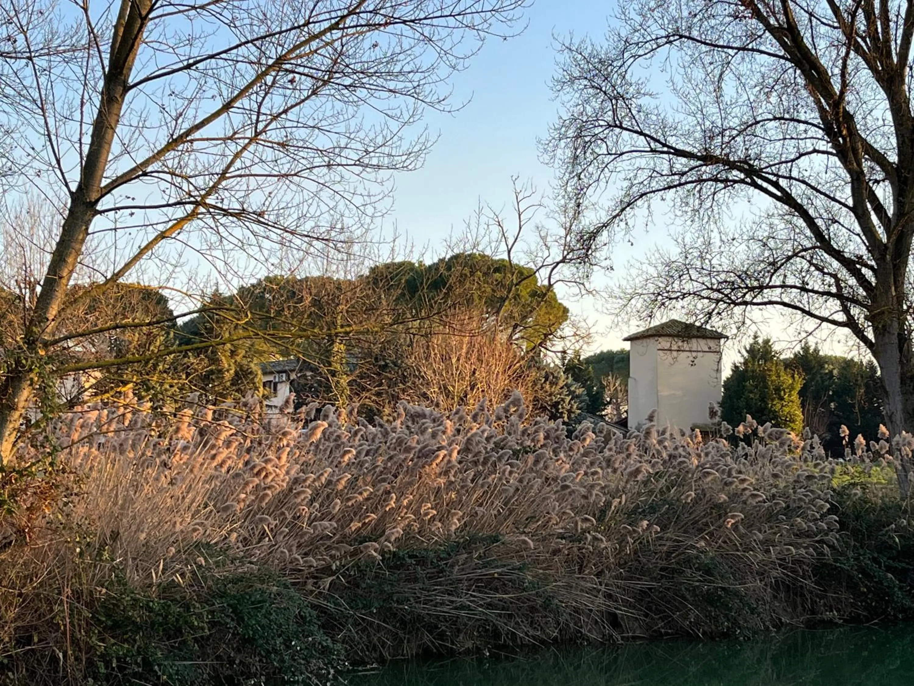 Natural landscape in Hotel La Torretta