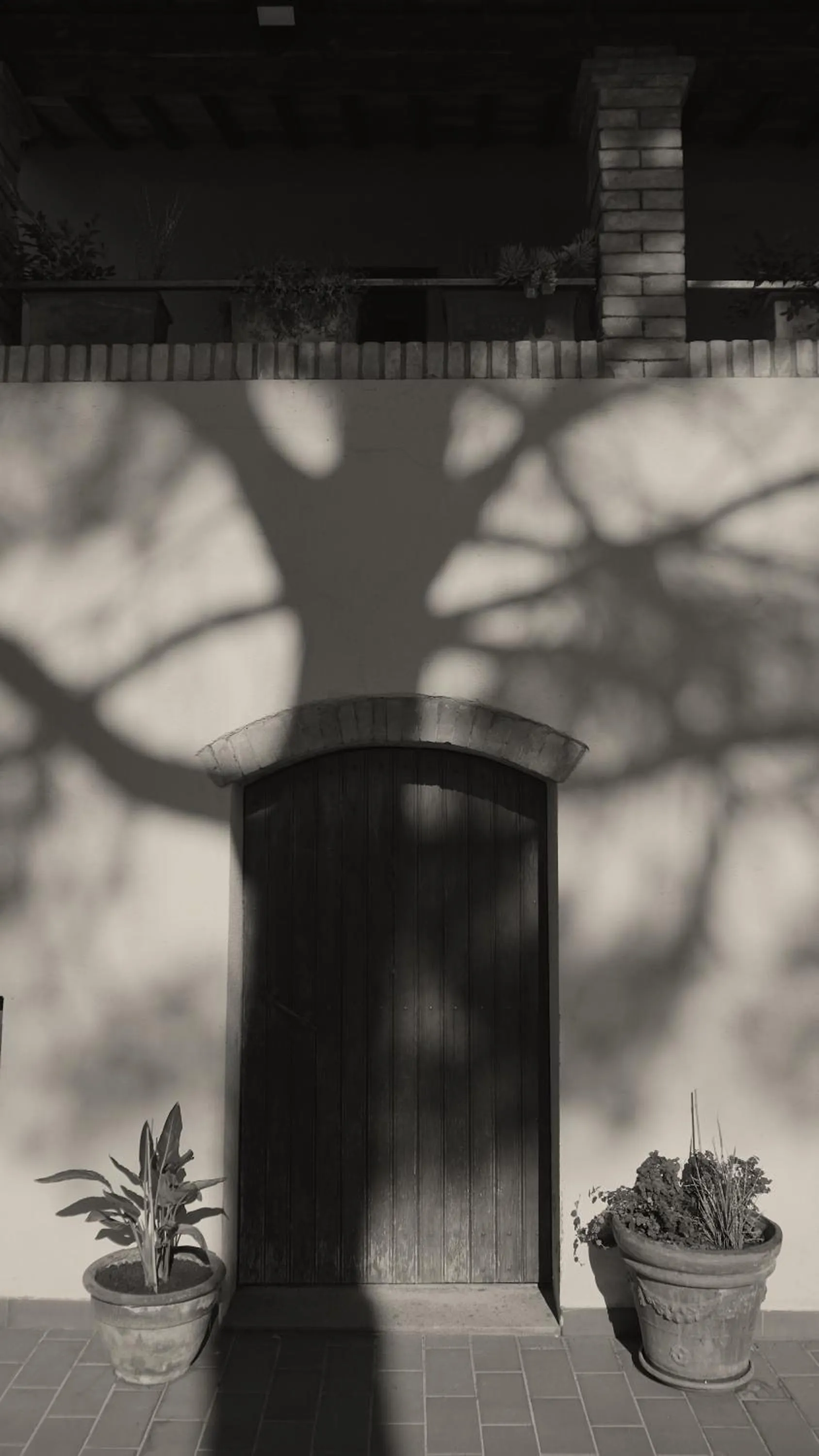 Property building in Hotel La Torretta