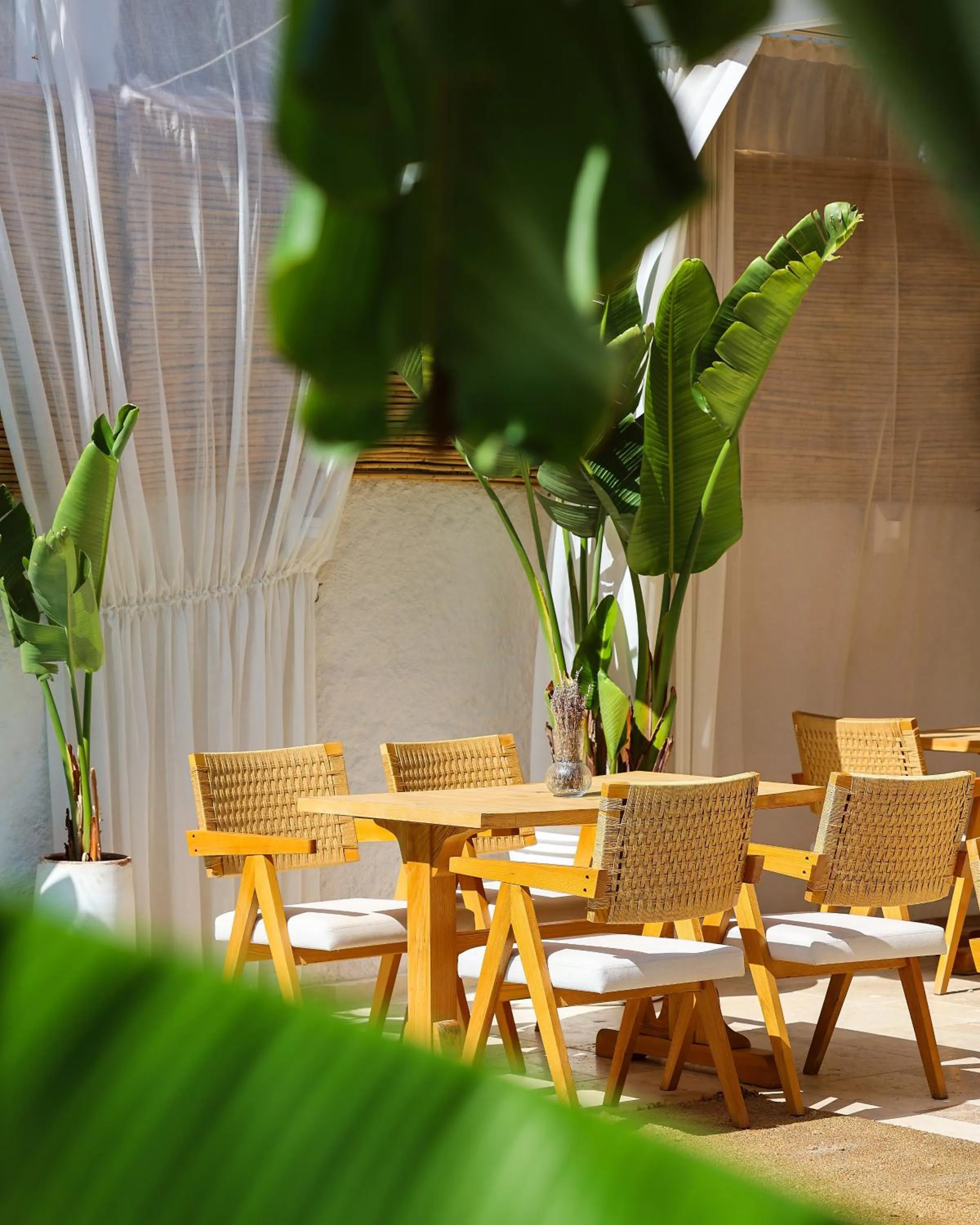 Day in Voger Alaçatı Köyiçi