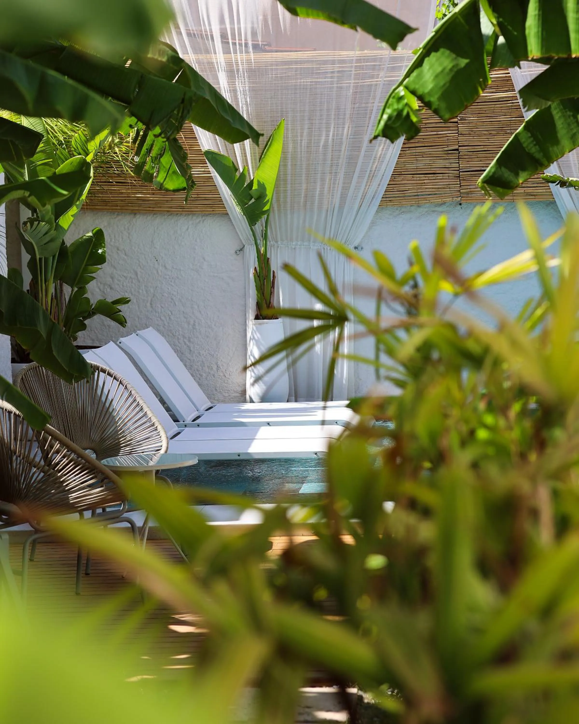 Garden in Voger Alaçatı Köyiçi